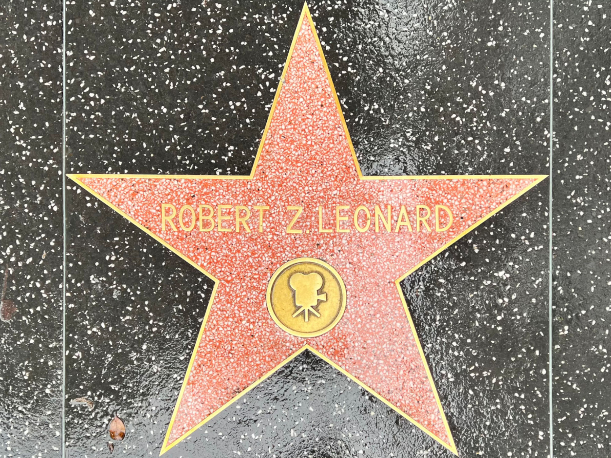 Hollywood Walk of Fame