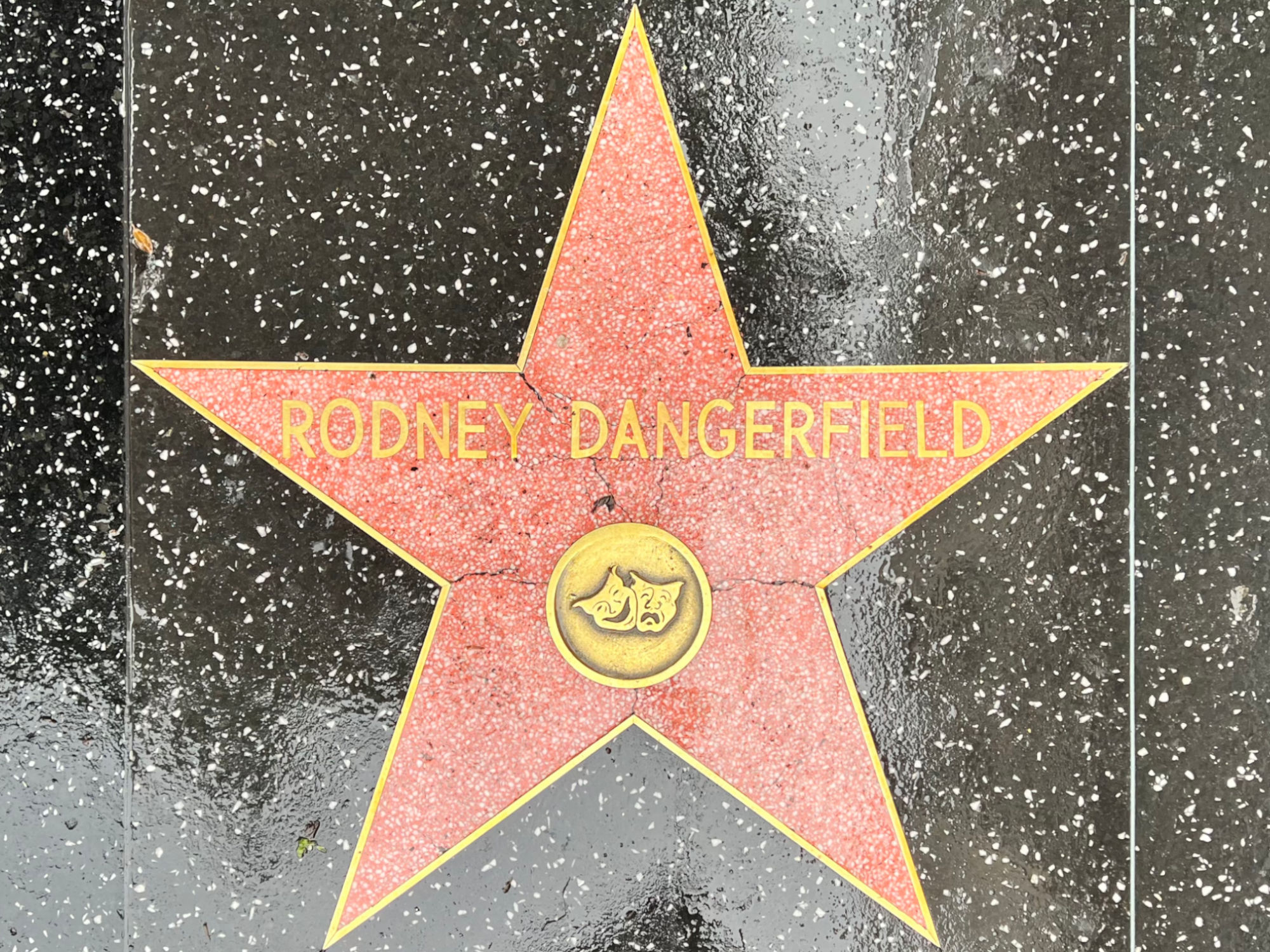 Hollywood Walk of Fame