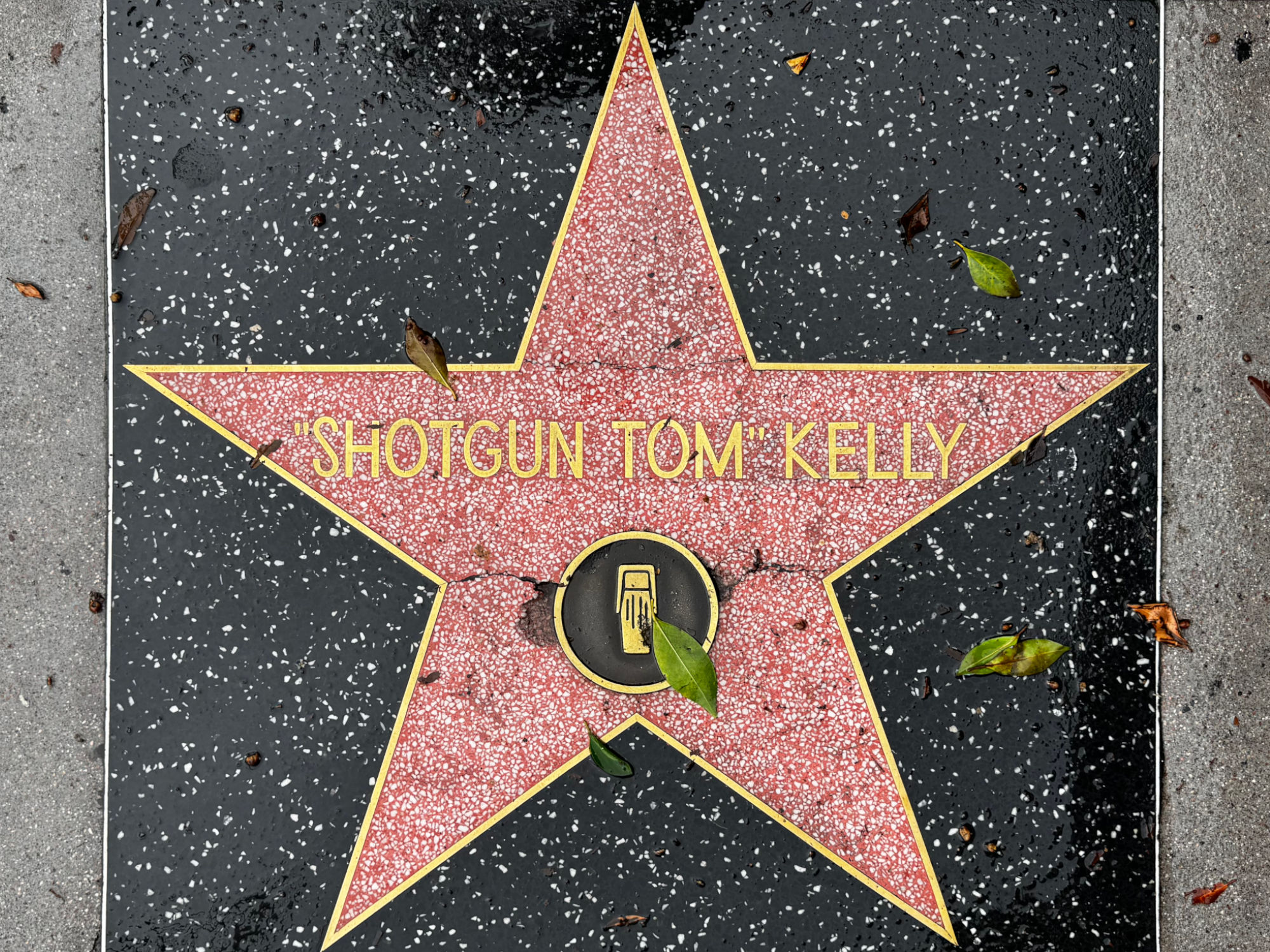 Hollywood Walk of Fame Hollywood Walk of Fame