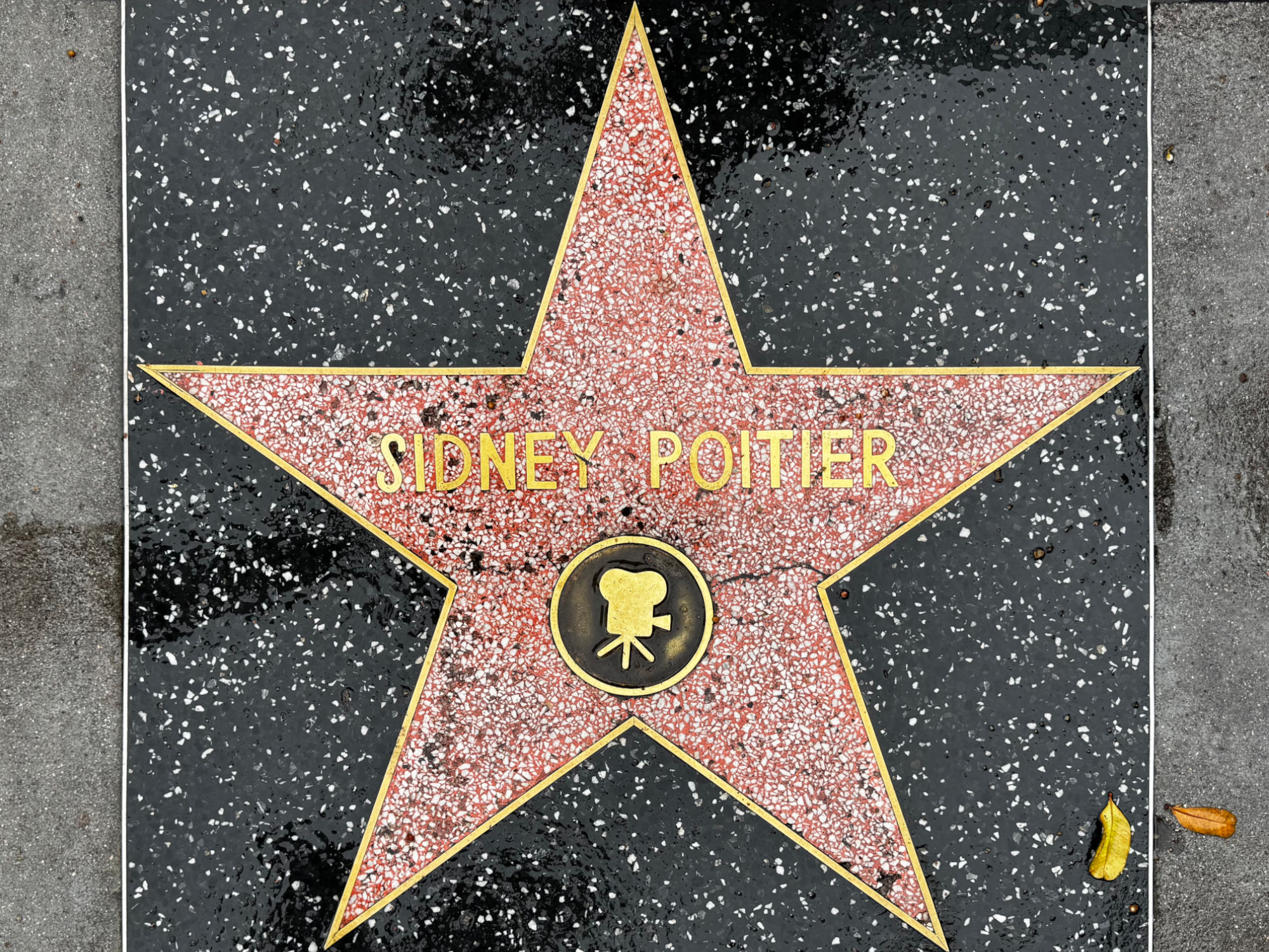 Hollywood Walk of Fame