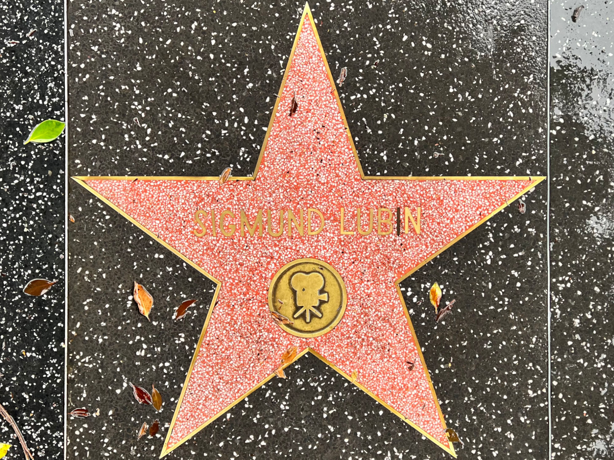 Hollywood Walk of Fame