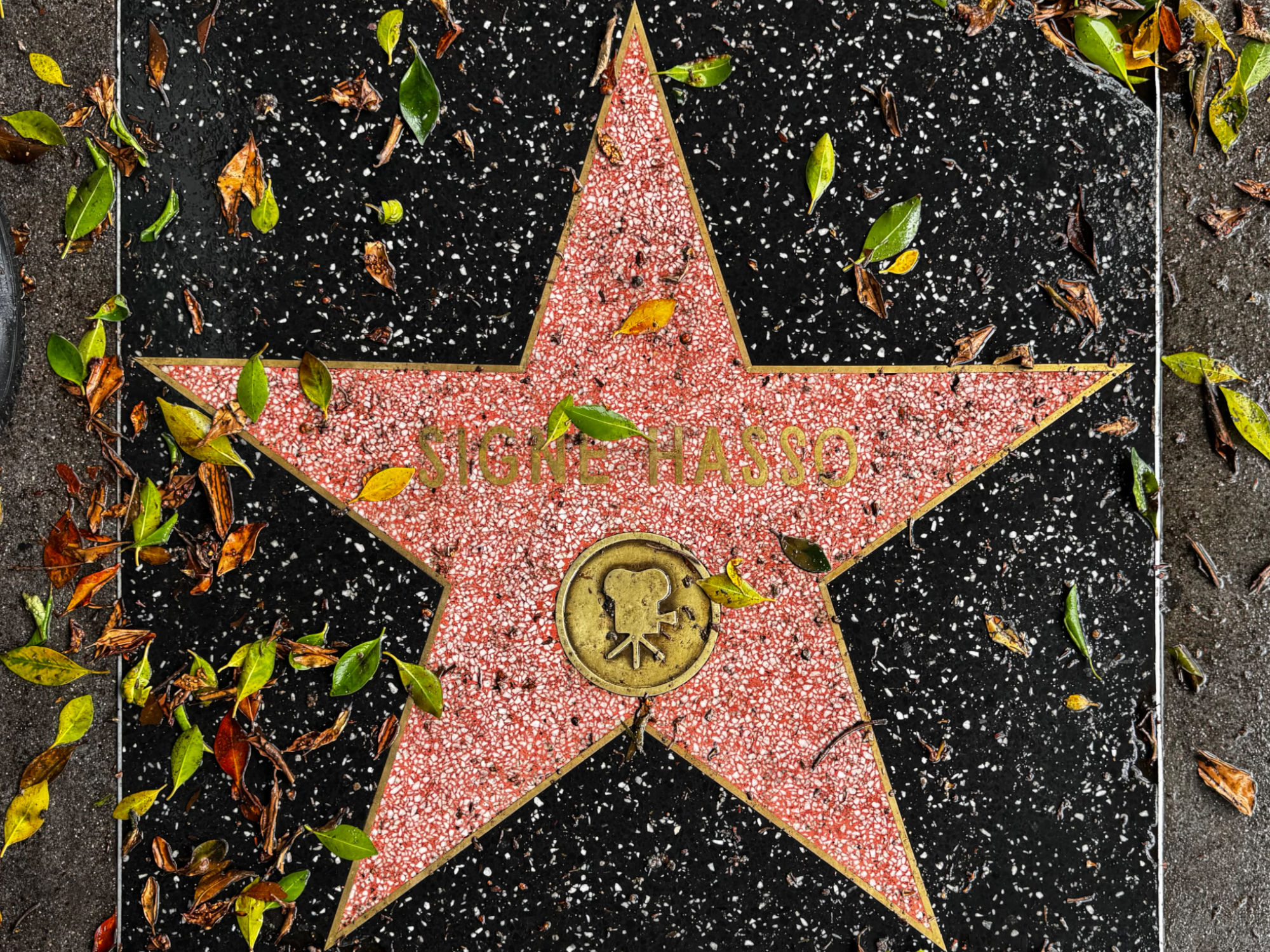 Hollywood Walk of Fame Hollywood Walk of Fame