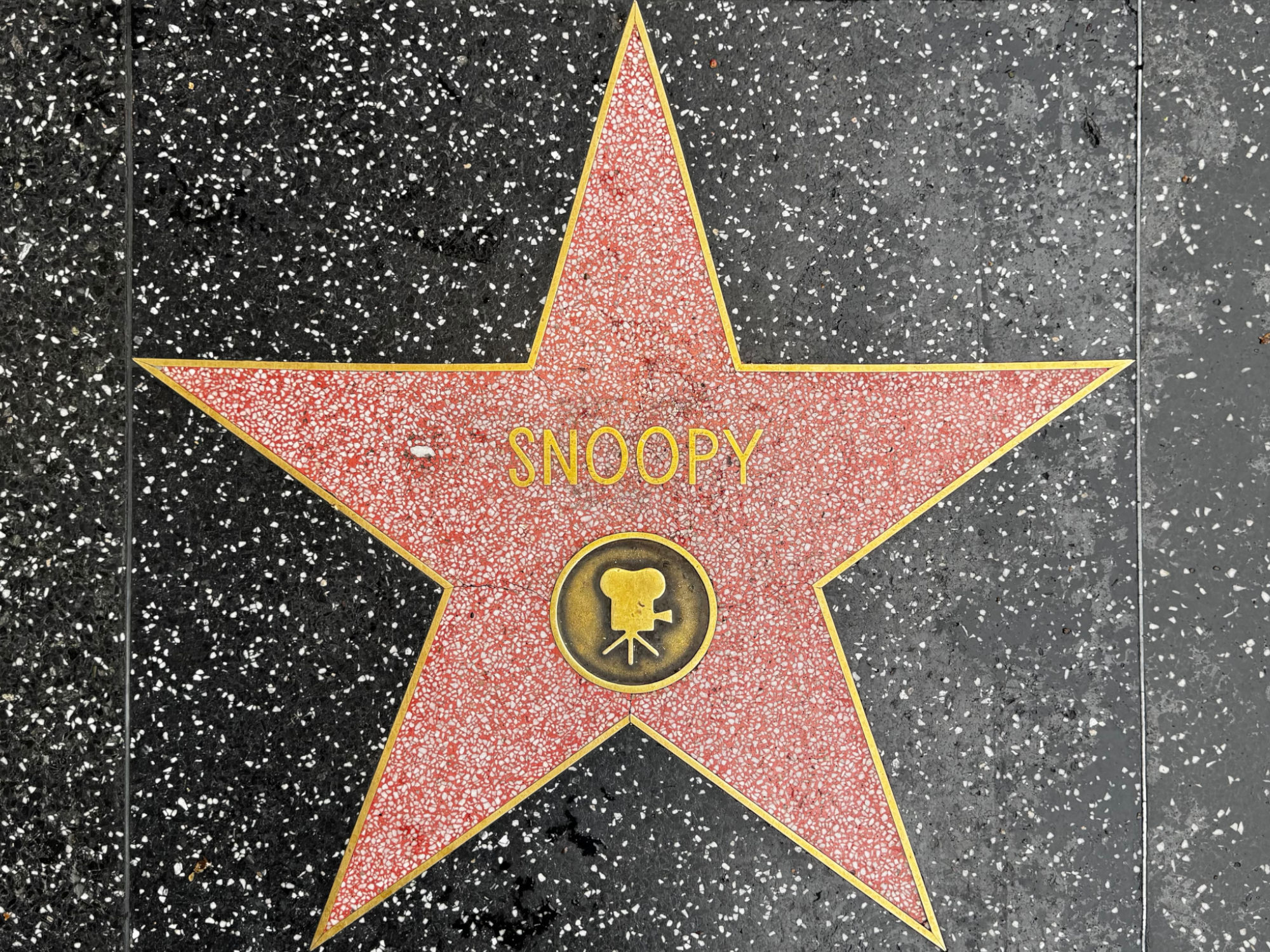Hollywood Walk of Fame Hollywood Walk of Fame