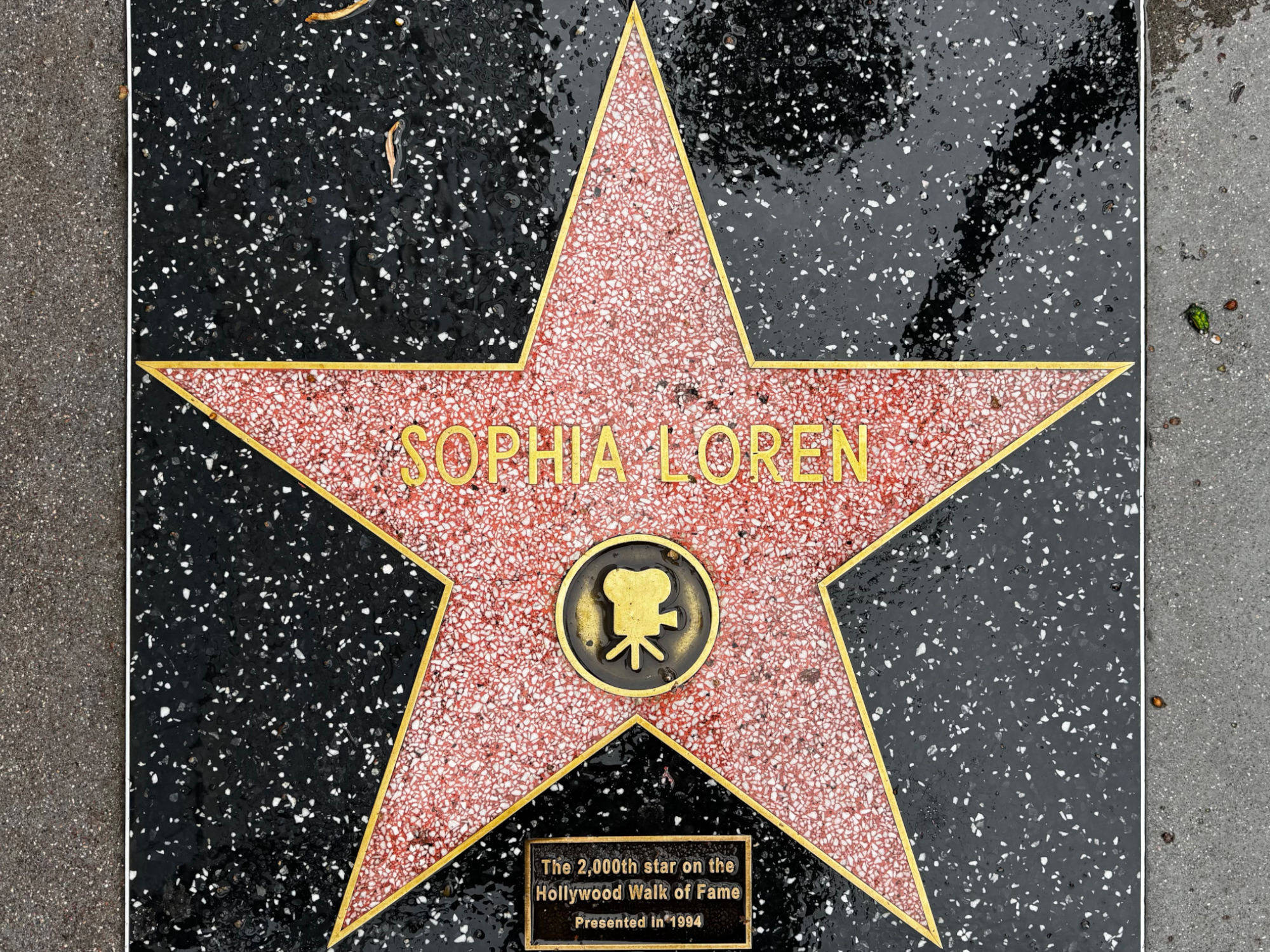 Hollywood Walk of Fame Hollywood Walk of Fame