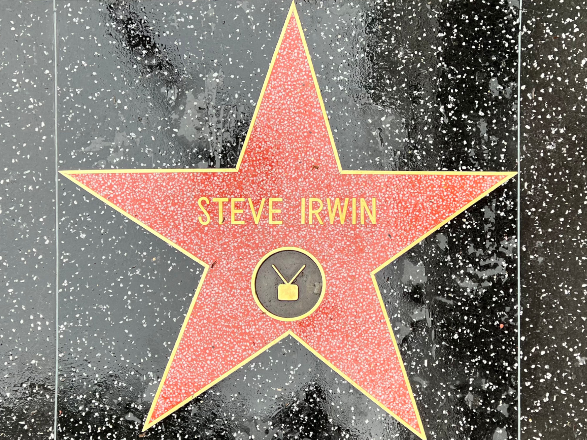 Hollywood Walk of Fame