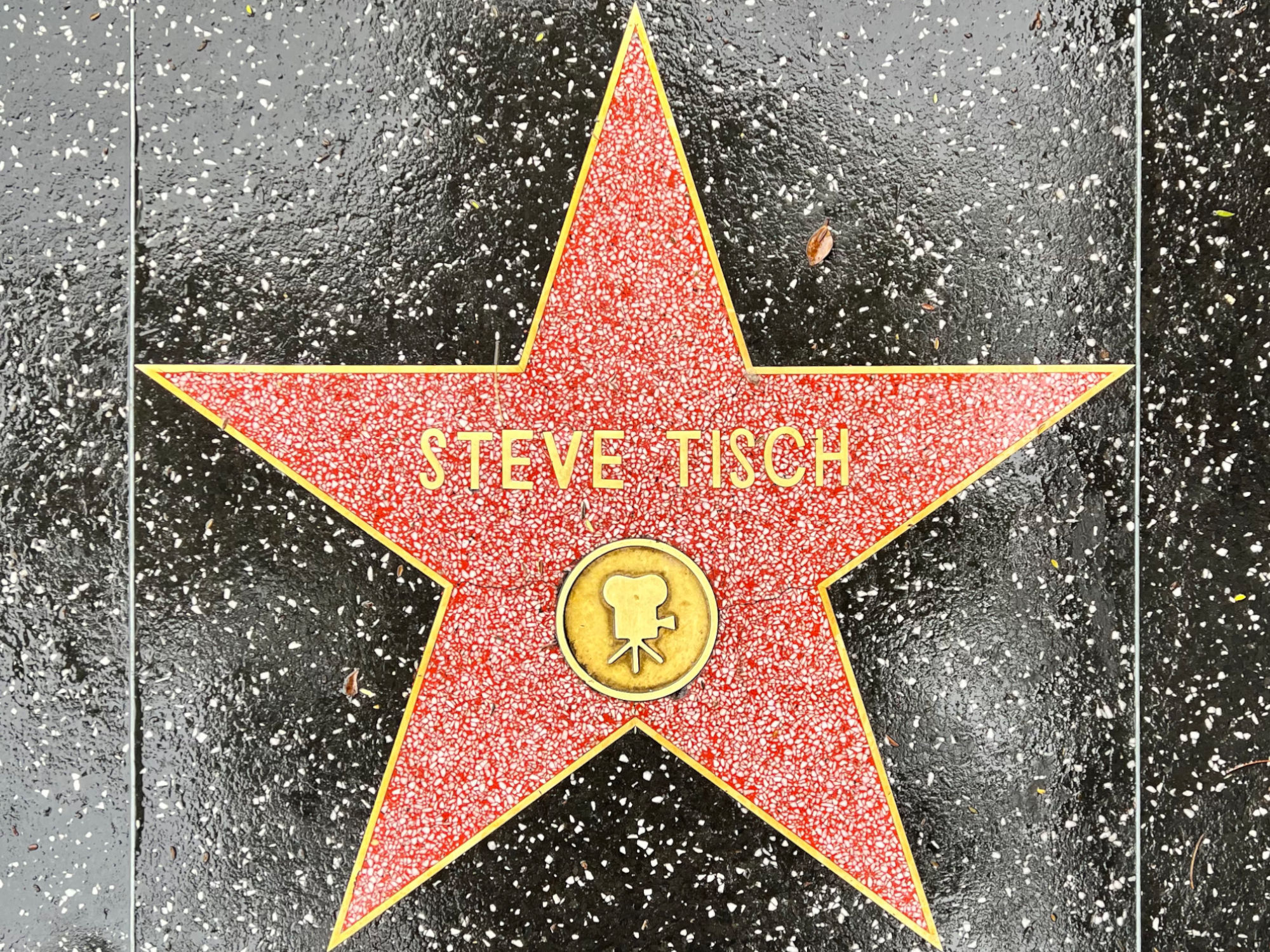 Hollywood Walk of Fame