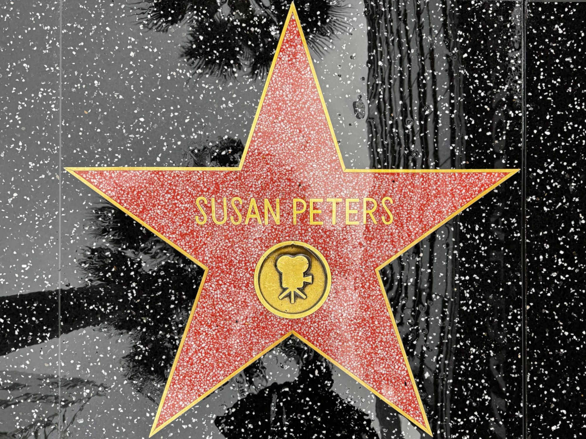 Hollywood Walk of Fame Hollywood Walk of Fame