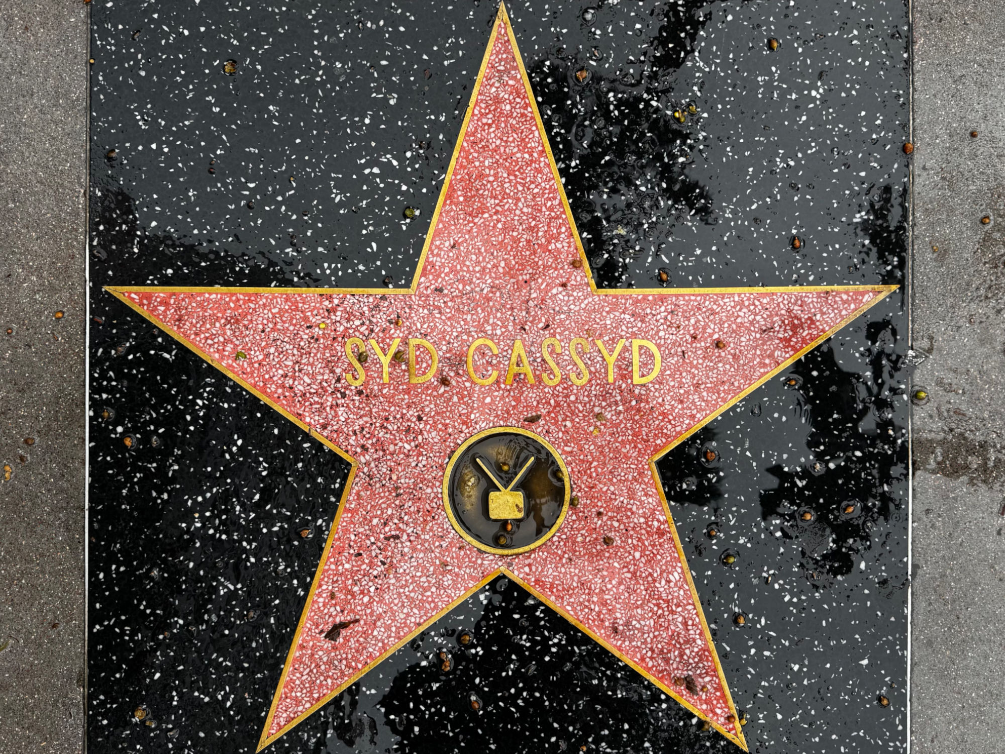 Hollywood Walk of Fame Hollywood Walk of Fame