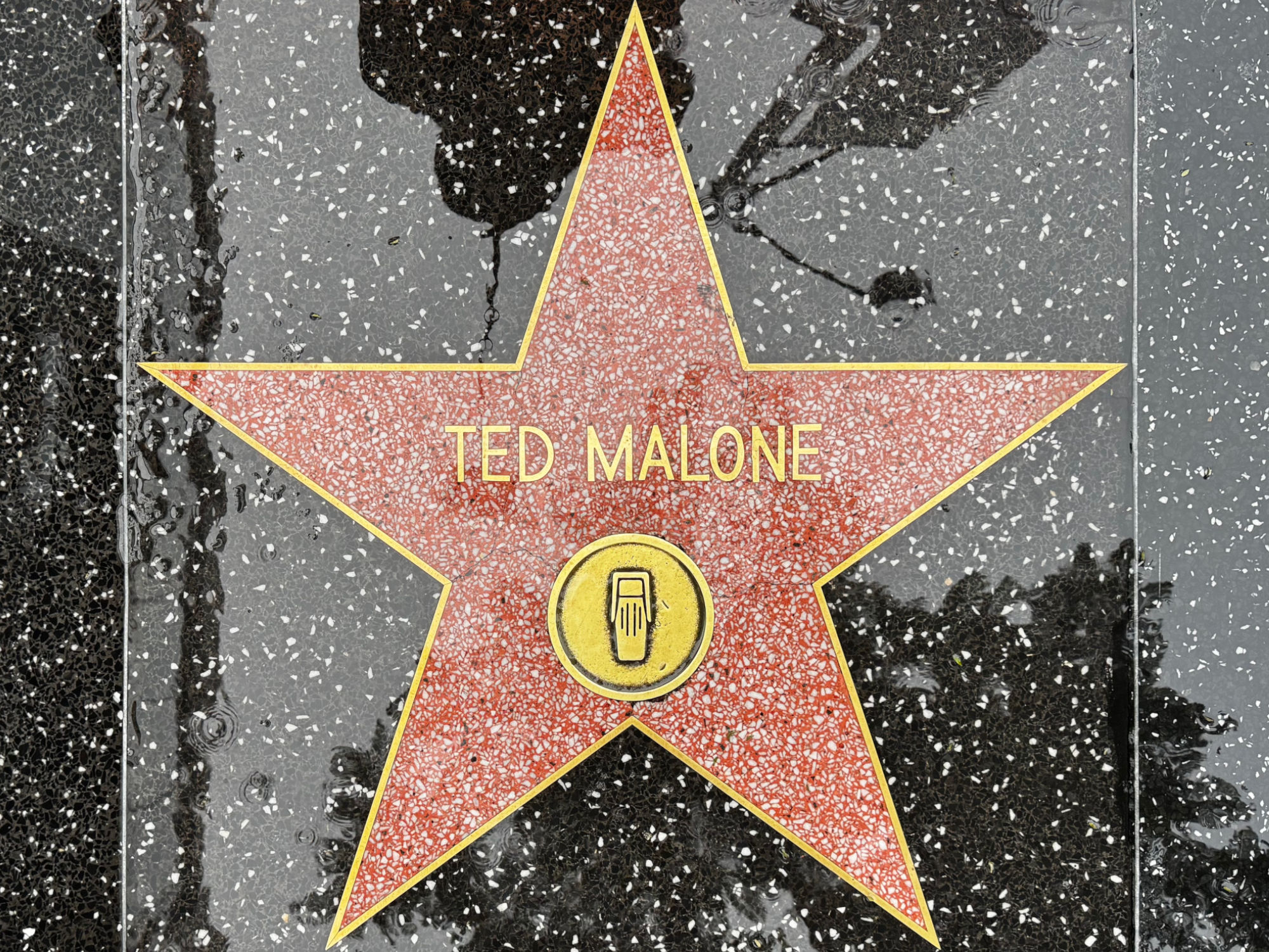 Hollywood Walk of Fame