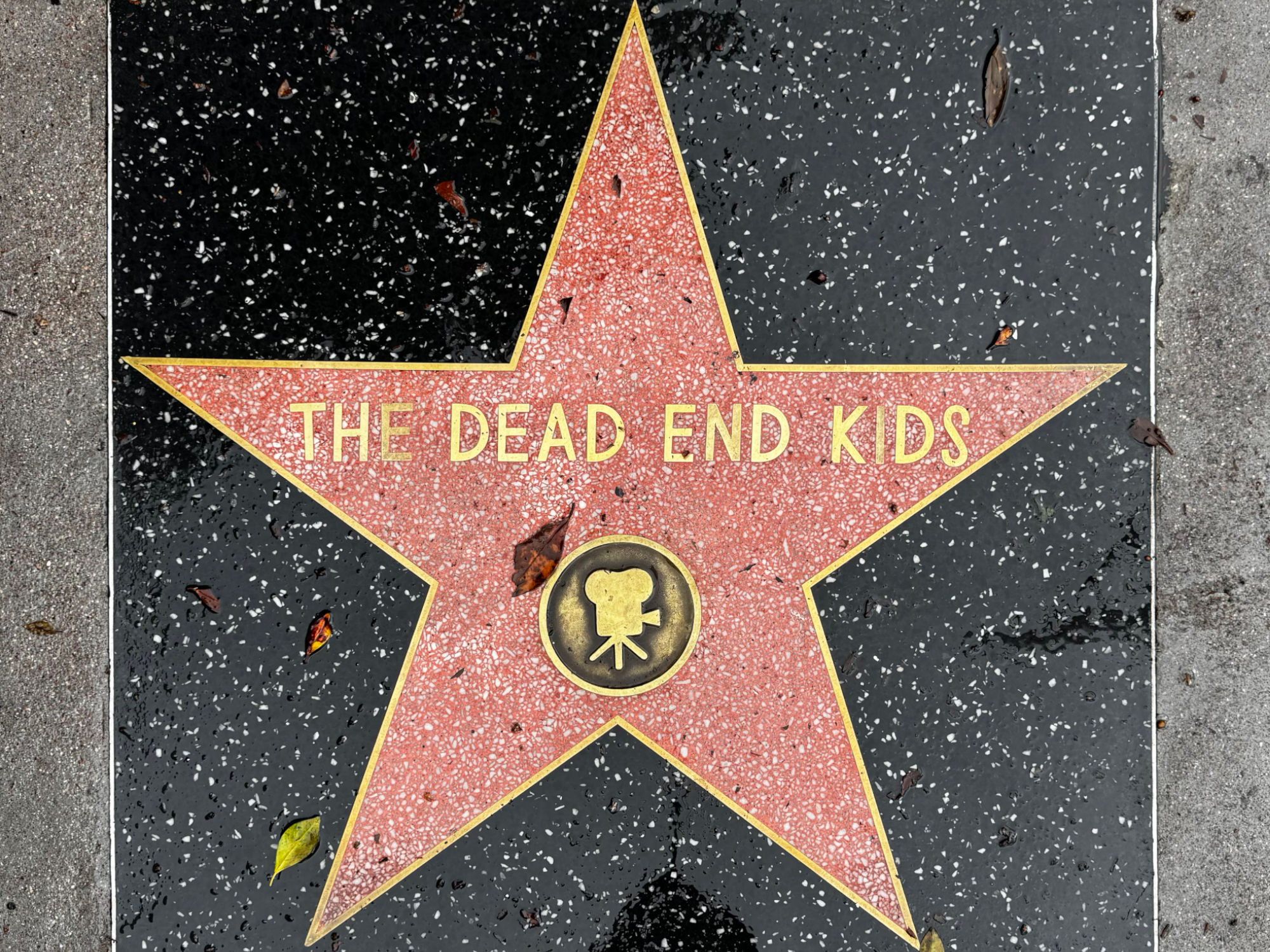 Hollywood Walk of Fame Hollywood Walk of Fame