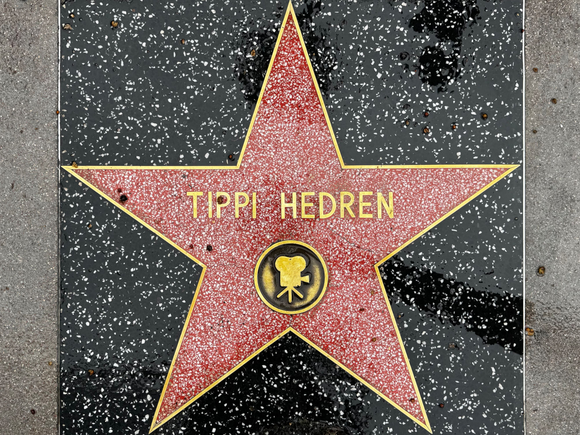 Hollywood Walk of Fame Hollywood Walk of Fame
