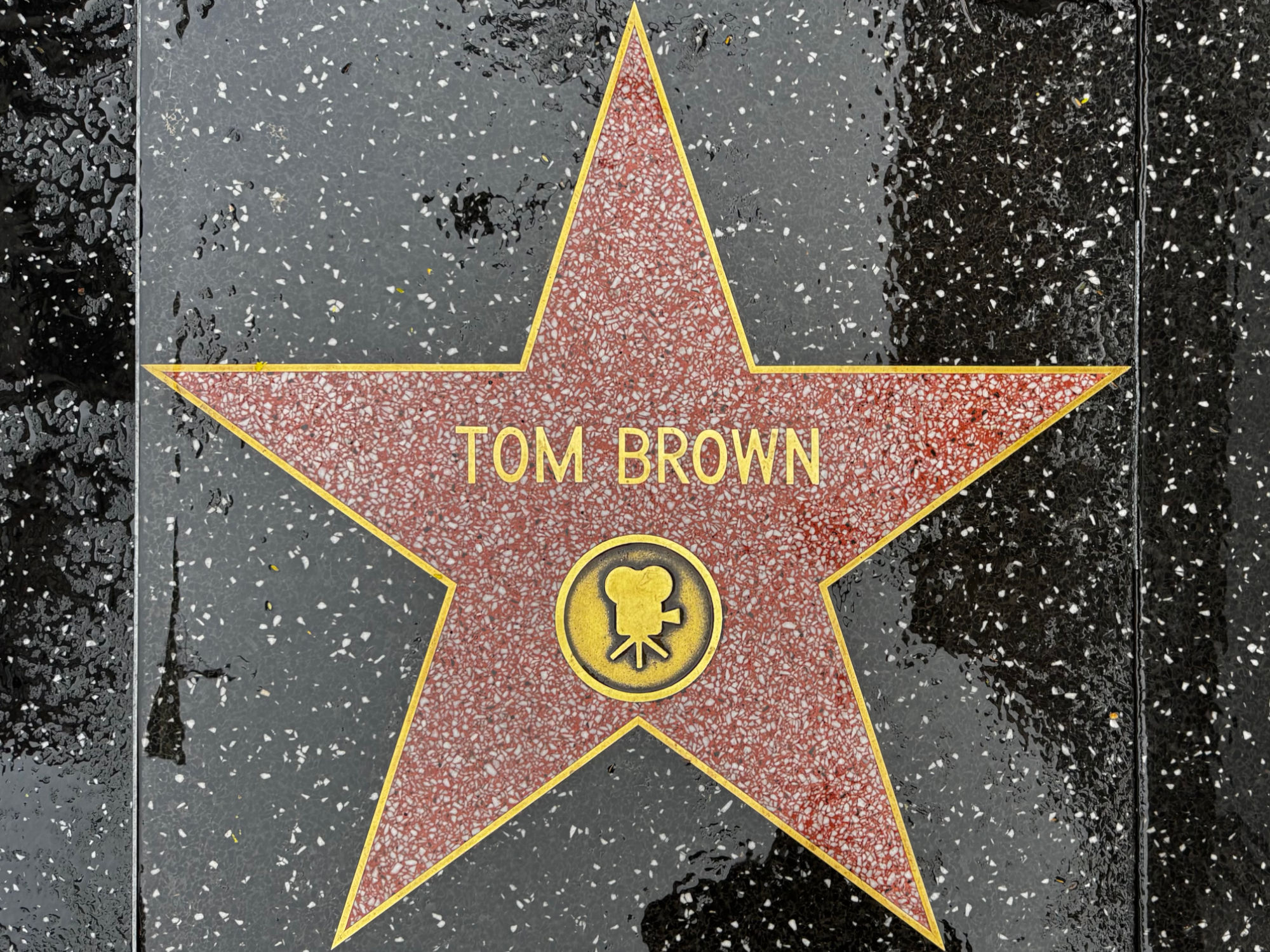 Hollywood Walk of Fame Hollywood Walk of Fame