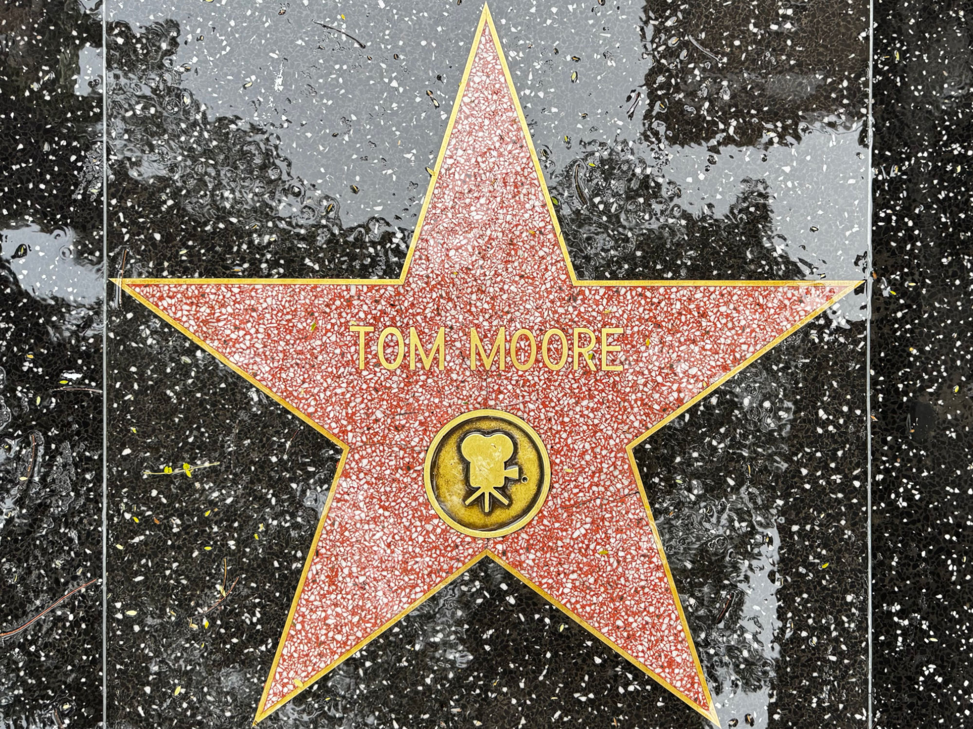Hollywood Walk of Fame Hollywood Walk of Fame