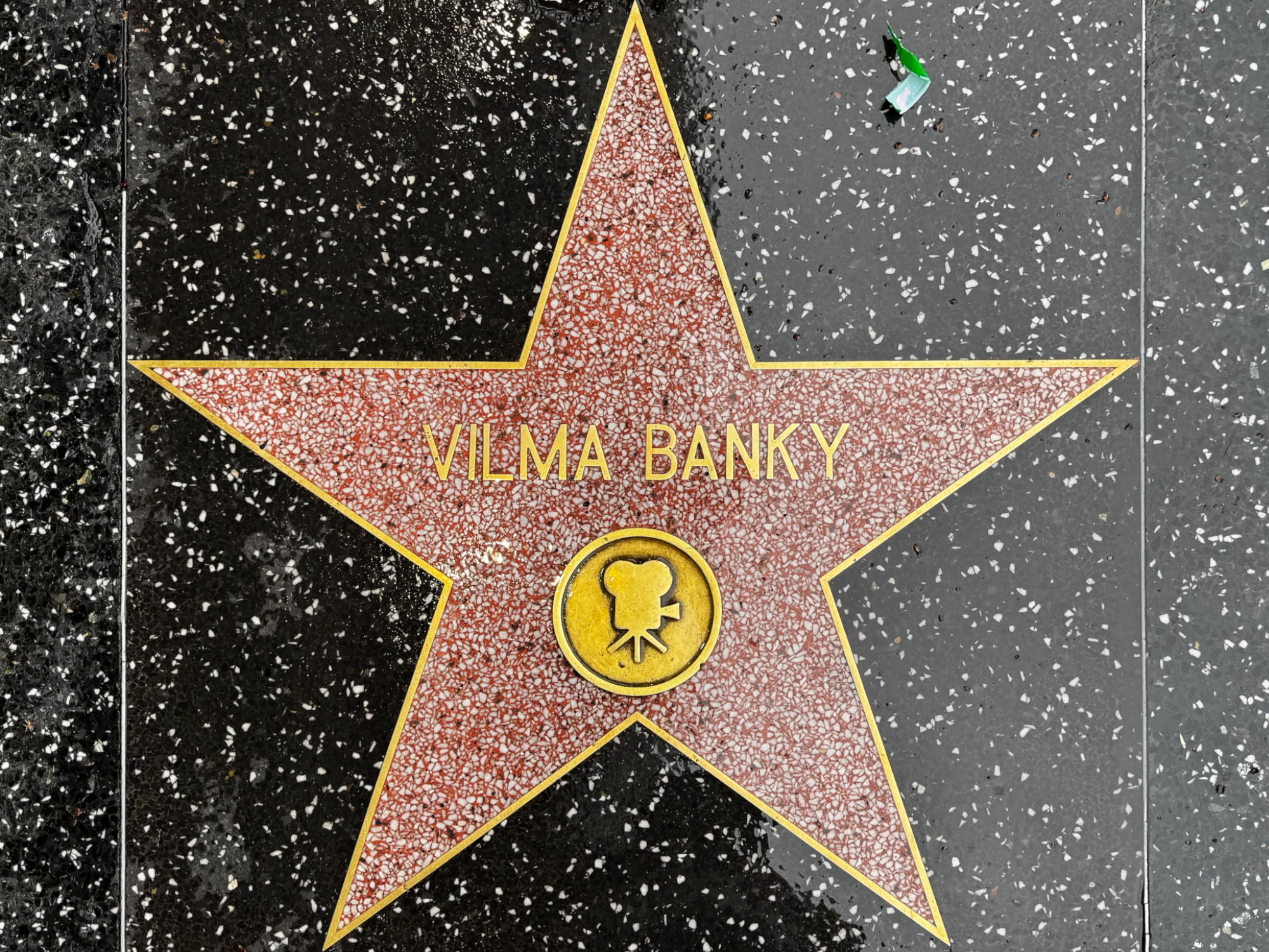 Hollywood Walk of Fame Hollywood Walk of Fame