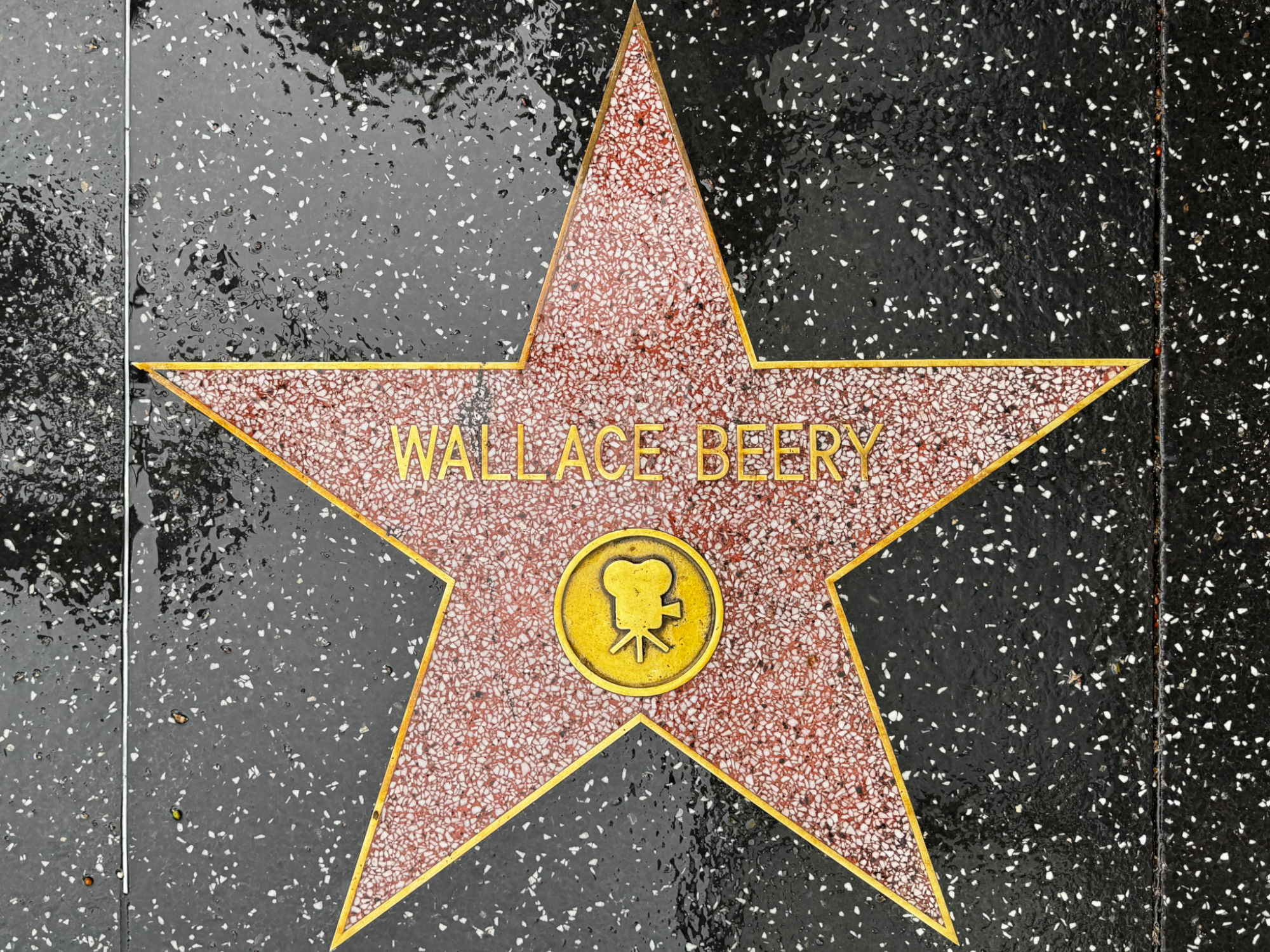 Hollywood Walk of Fame Hollywood Walk of Fame