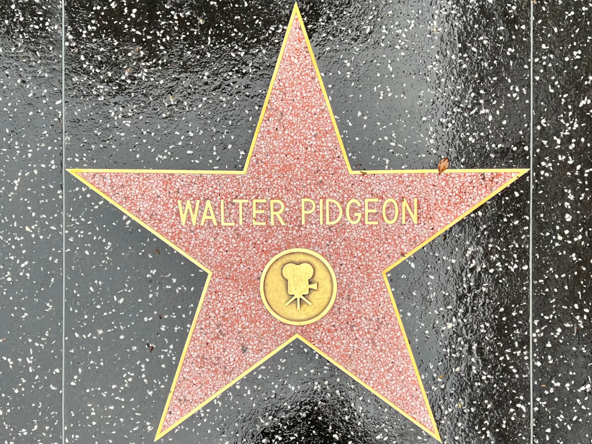 Hollywood Walk of Fame