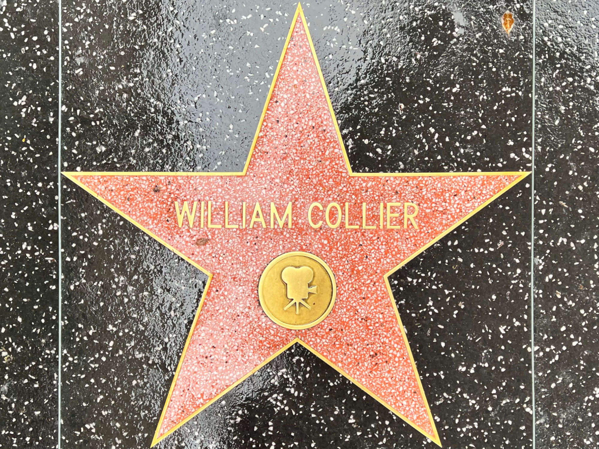 Hollywood Walk of Fame