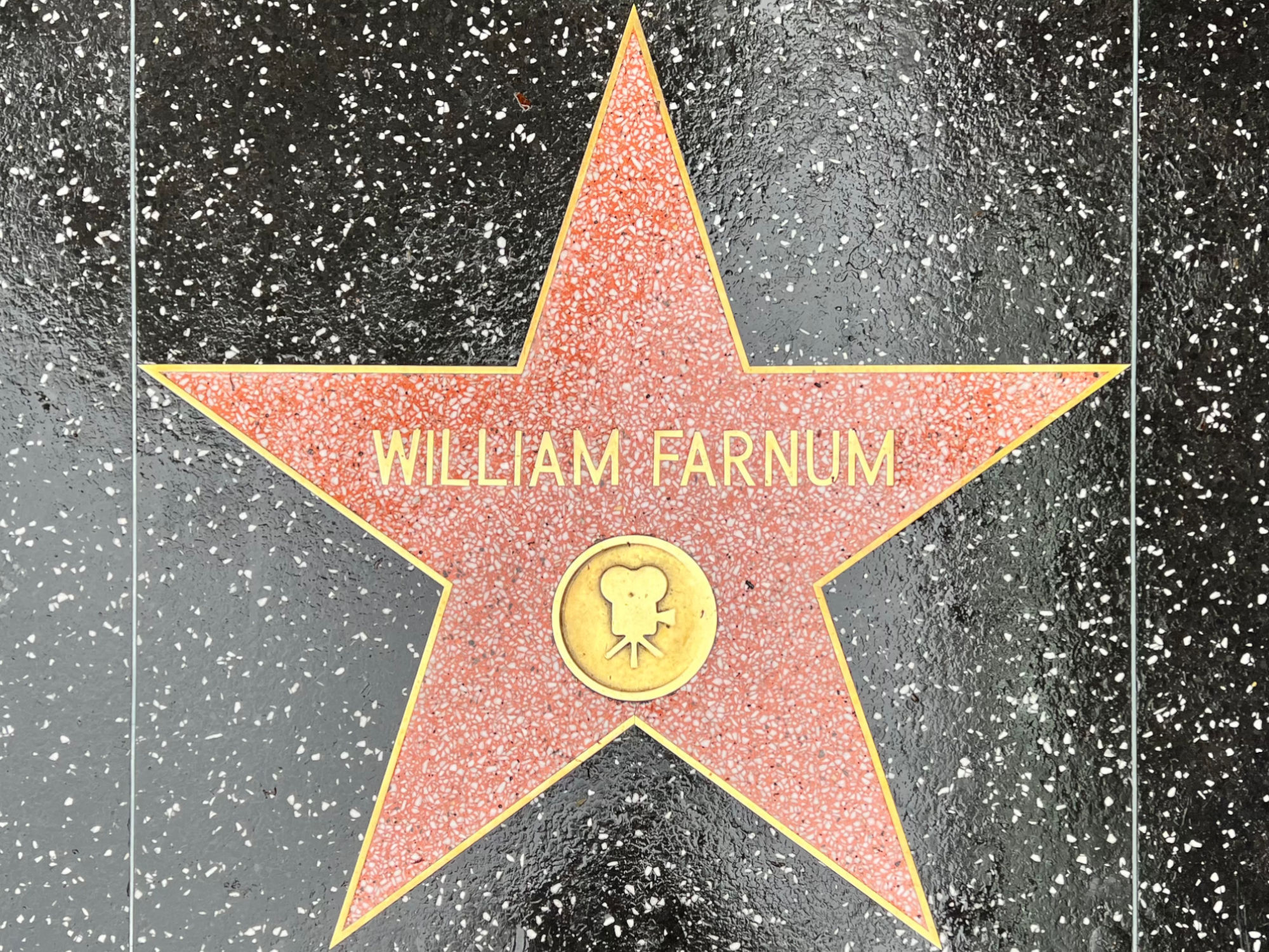 Hollywood Walk of Fame