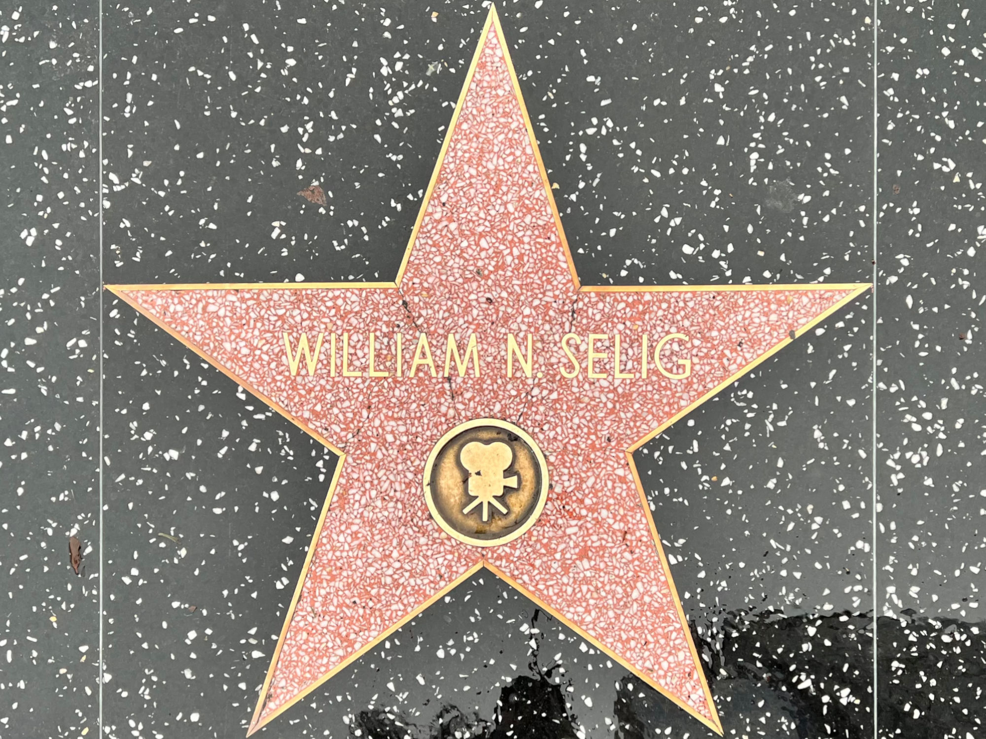 Hollywood Walk of Fame