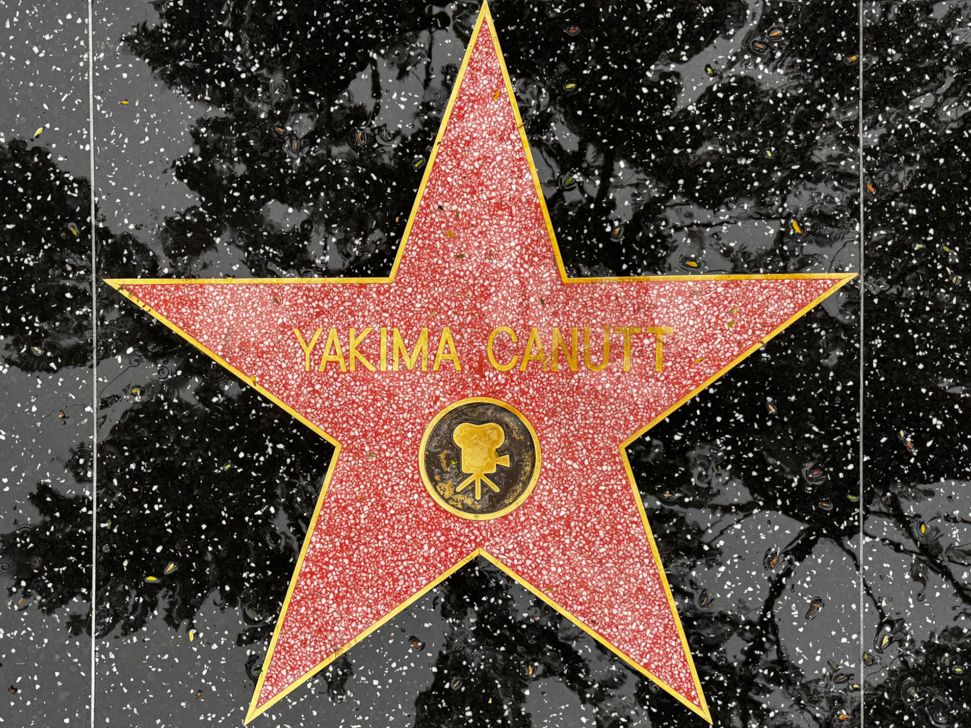 Hollywood Walk of Fame Hollywood Walk of Fame