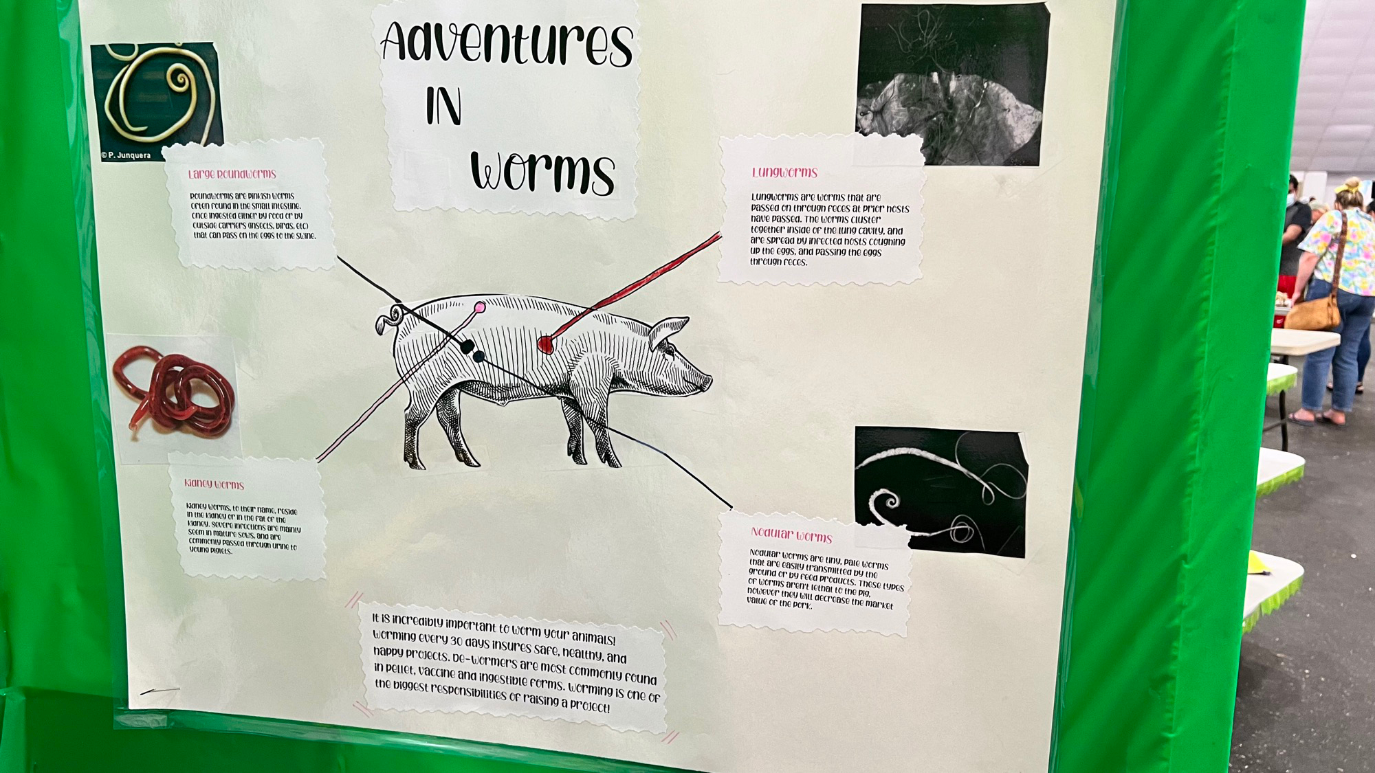 Adventures in Worms Youth Expo Adventures in Worms