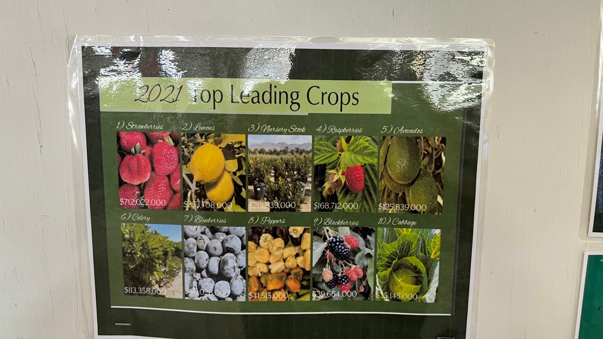 Barnyard Top Leading Crops