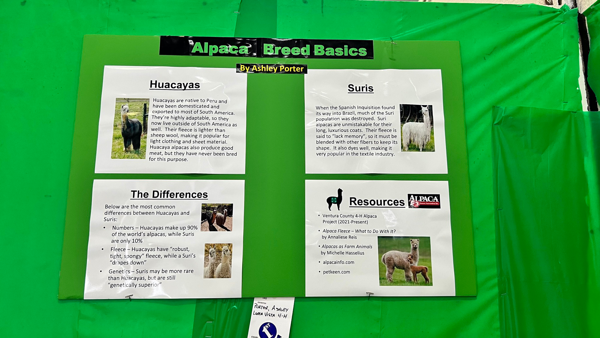Alpaca Breed Basics