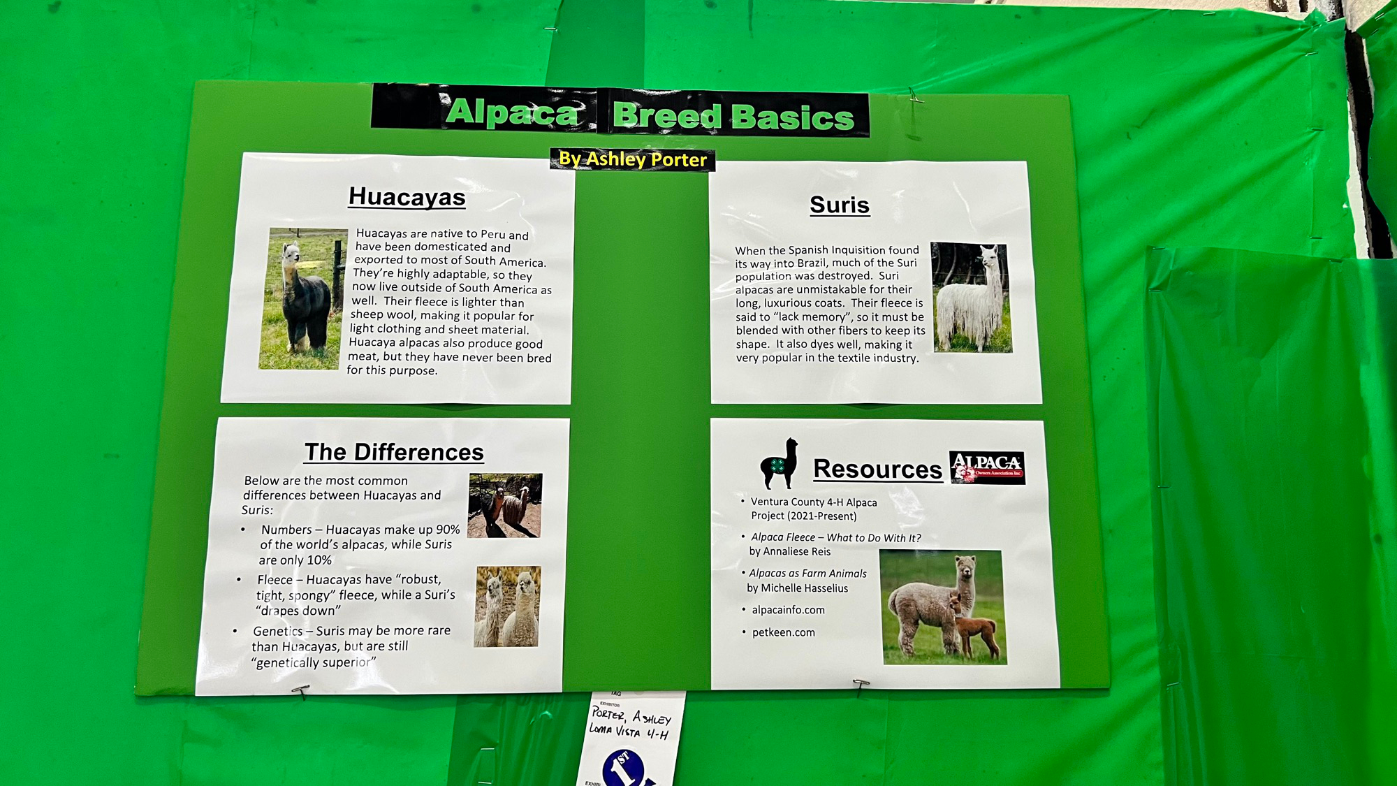 Alpaca Breed Basics Alpaca Breed Basics