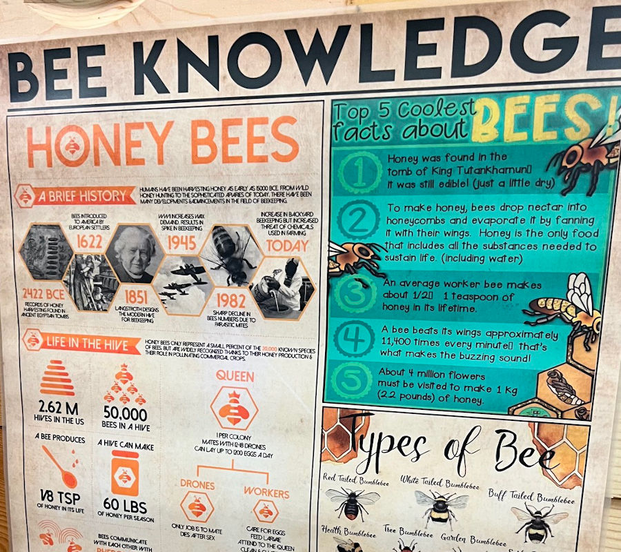 Bee Knowledge
