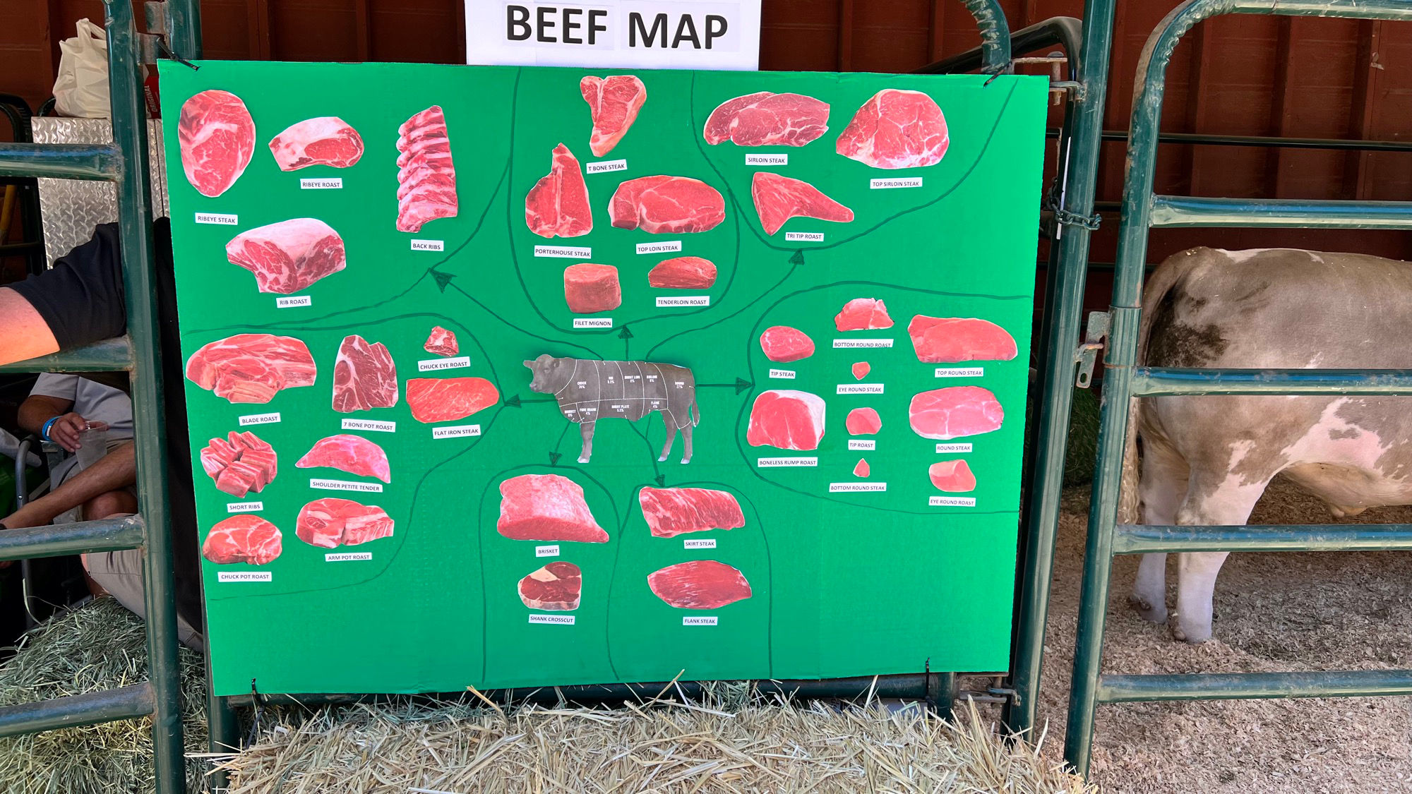 Cow Beef Map