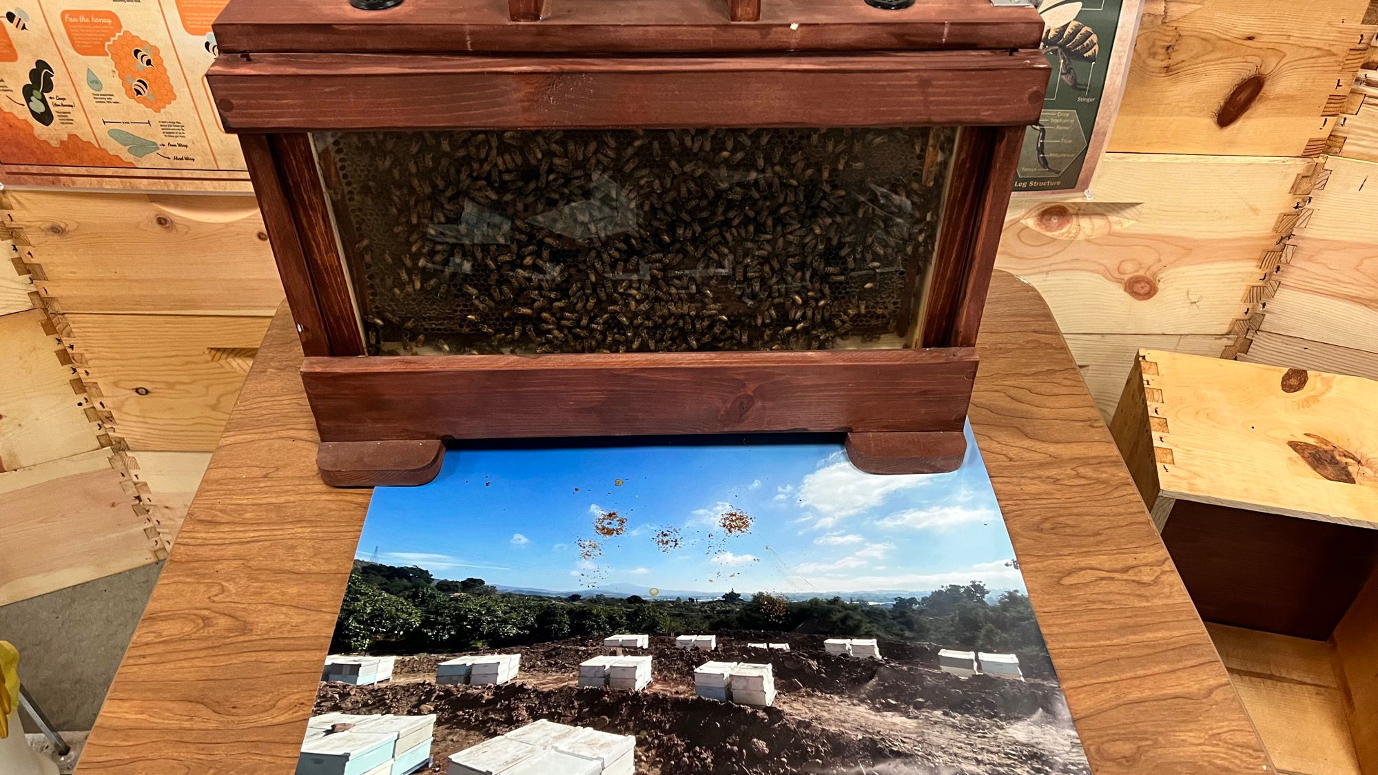 Bee Hive Beekeepers Association Bee Hive