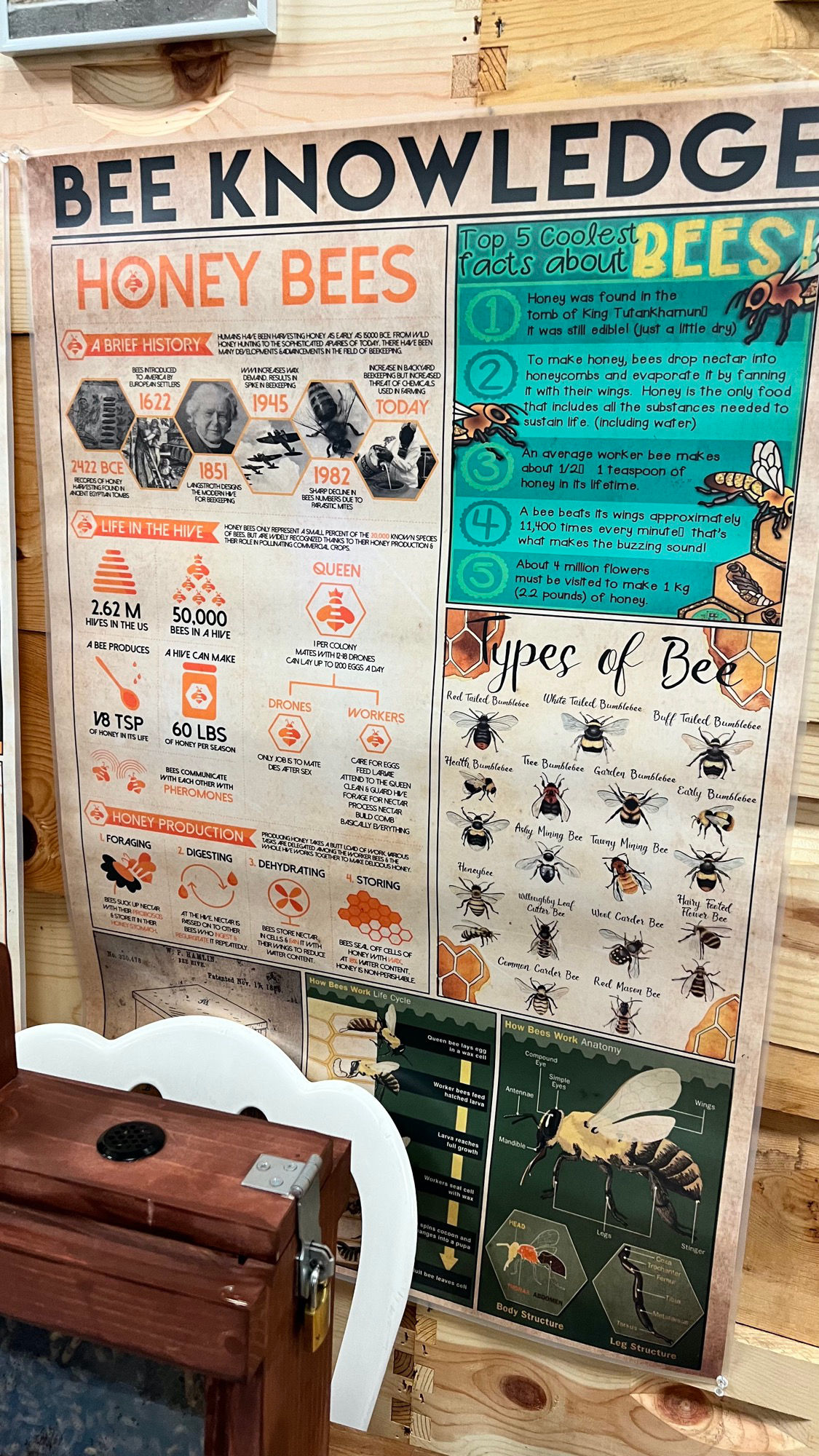 Bee Knowledge Beekeepers Association Bee Knowledge