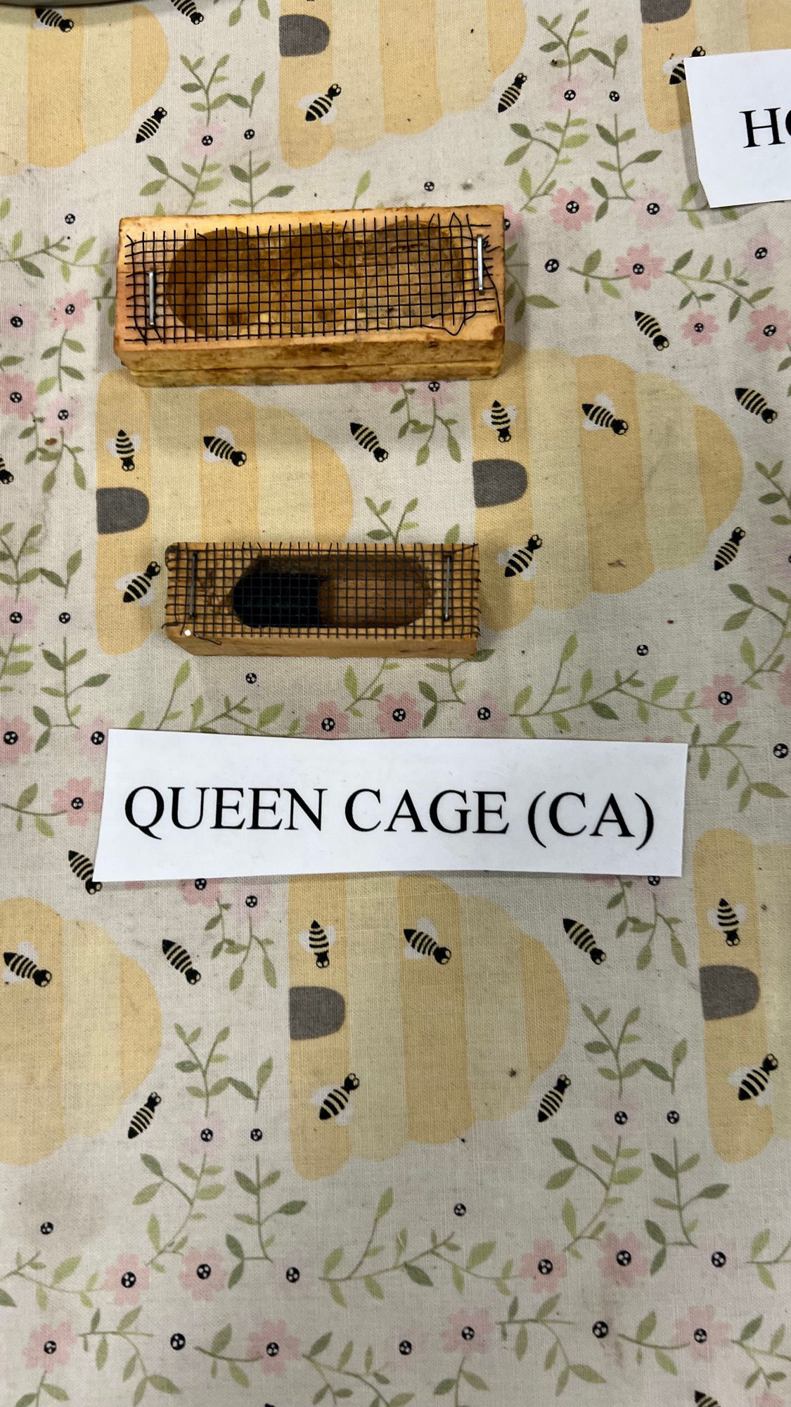 Beekeepers Association Queen Cage