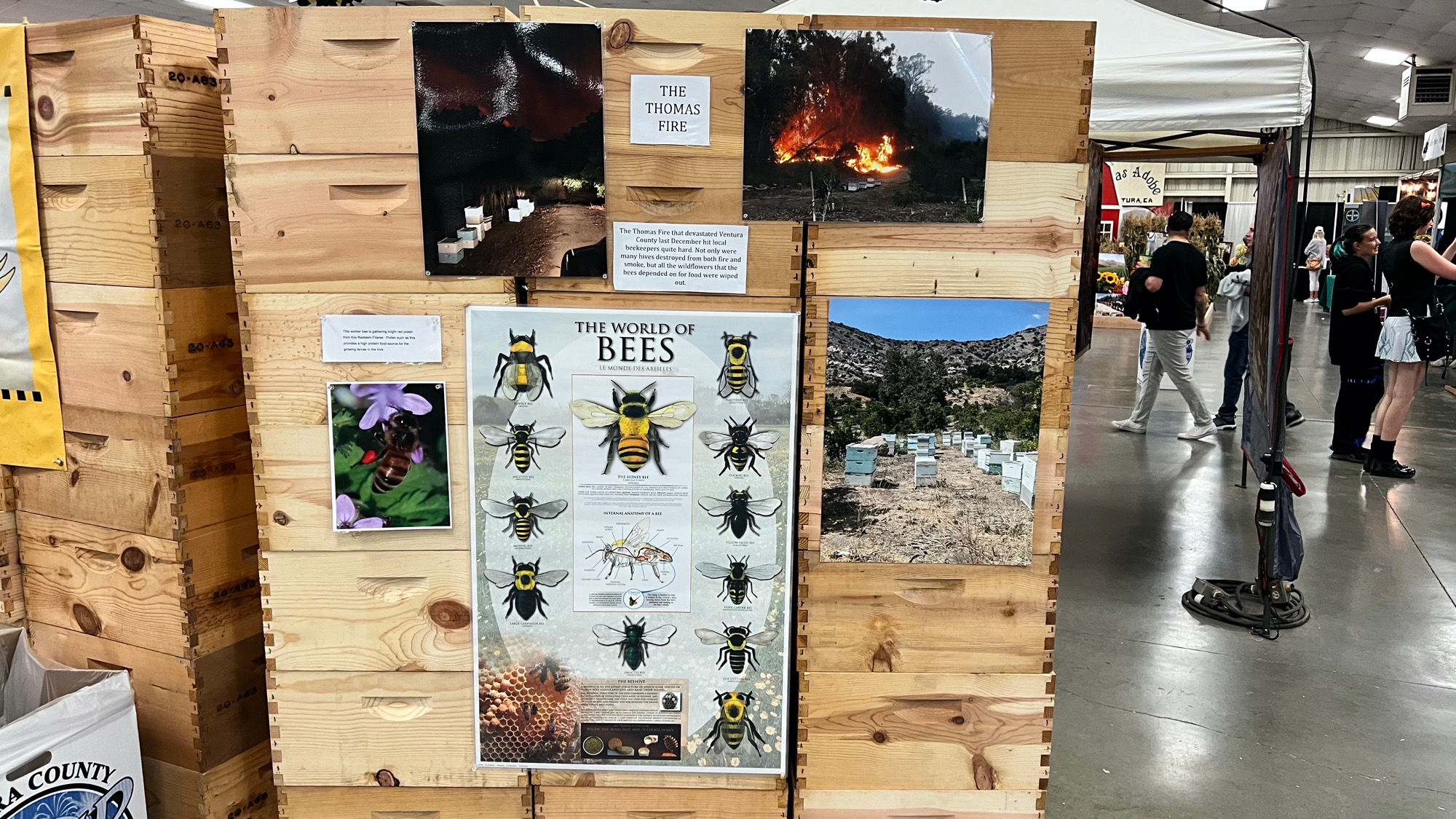 Beekeepers Association The Thomas Fire