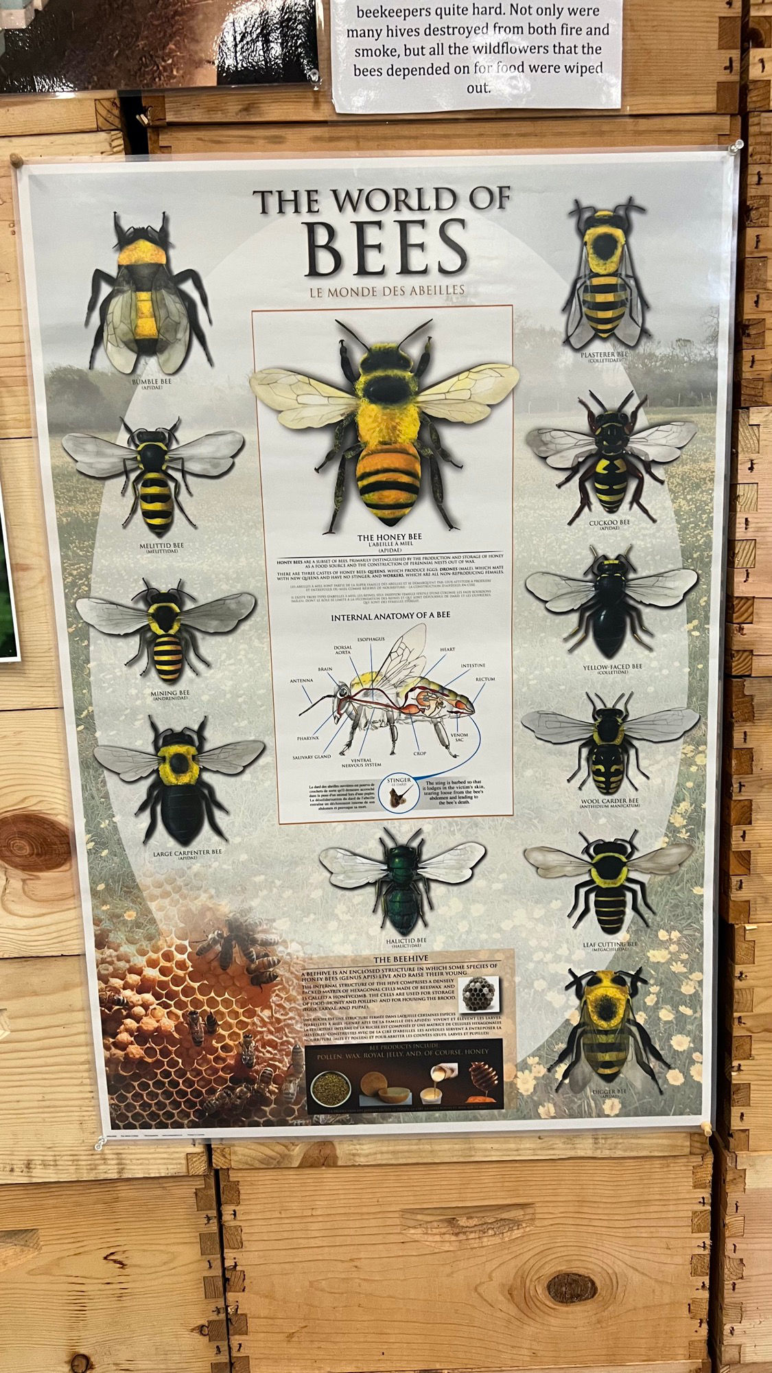 Beekeepers Association The World of Bees