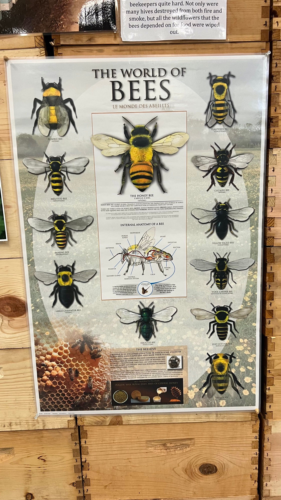 The World of Bees Beekeepers Association The World of Bees