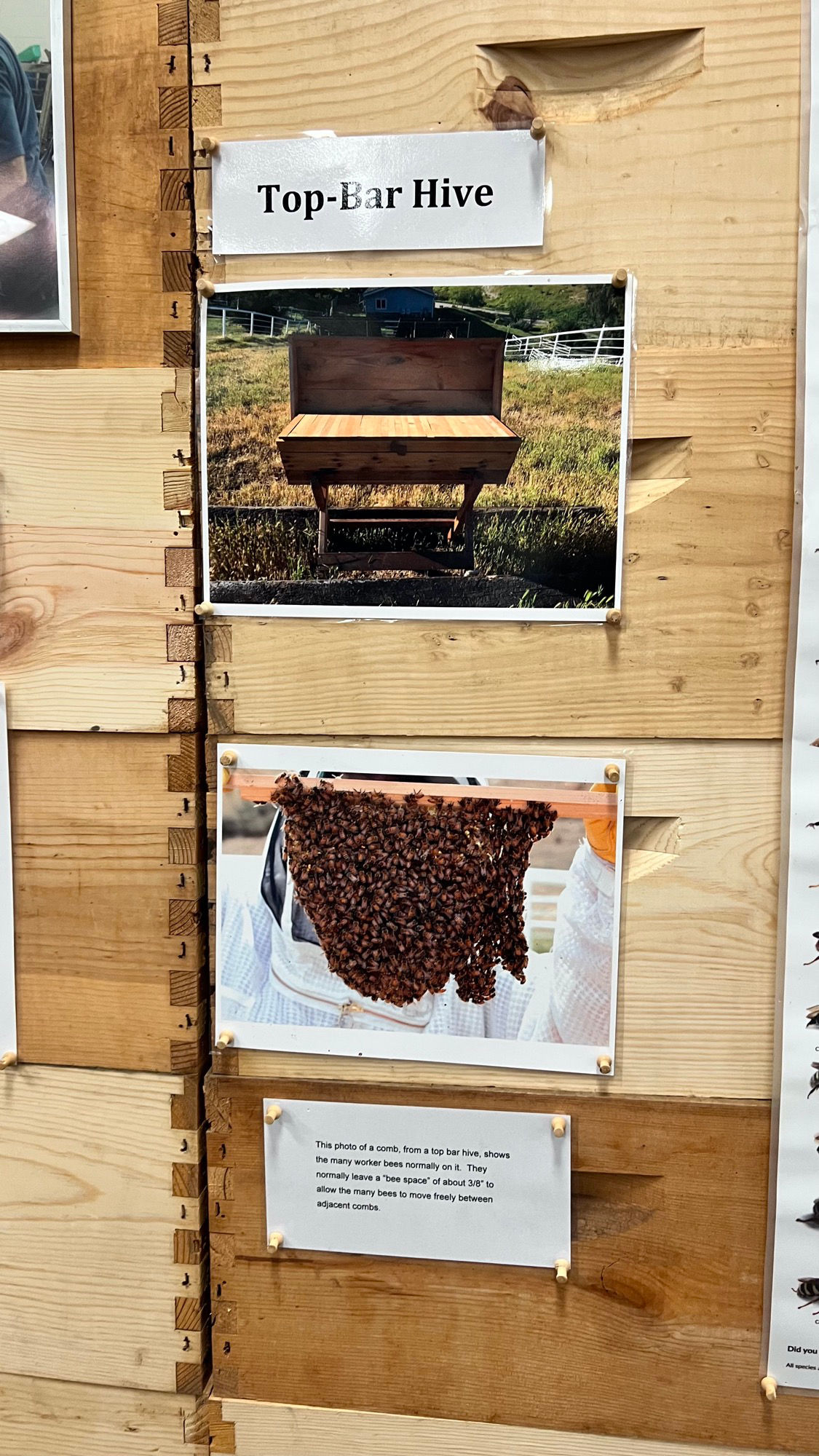 Top Bar Hive Beekeepers Association Top Bar Hive