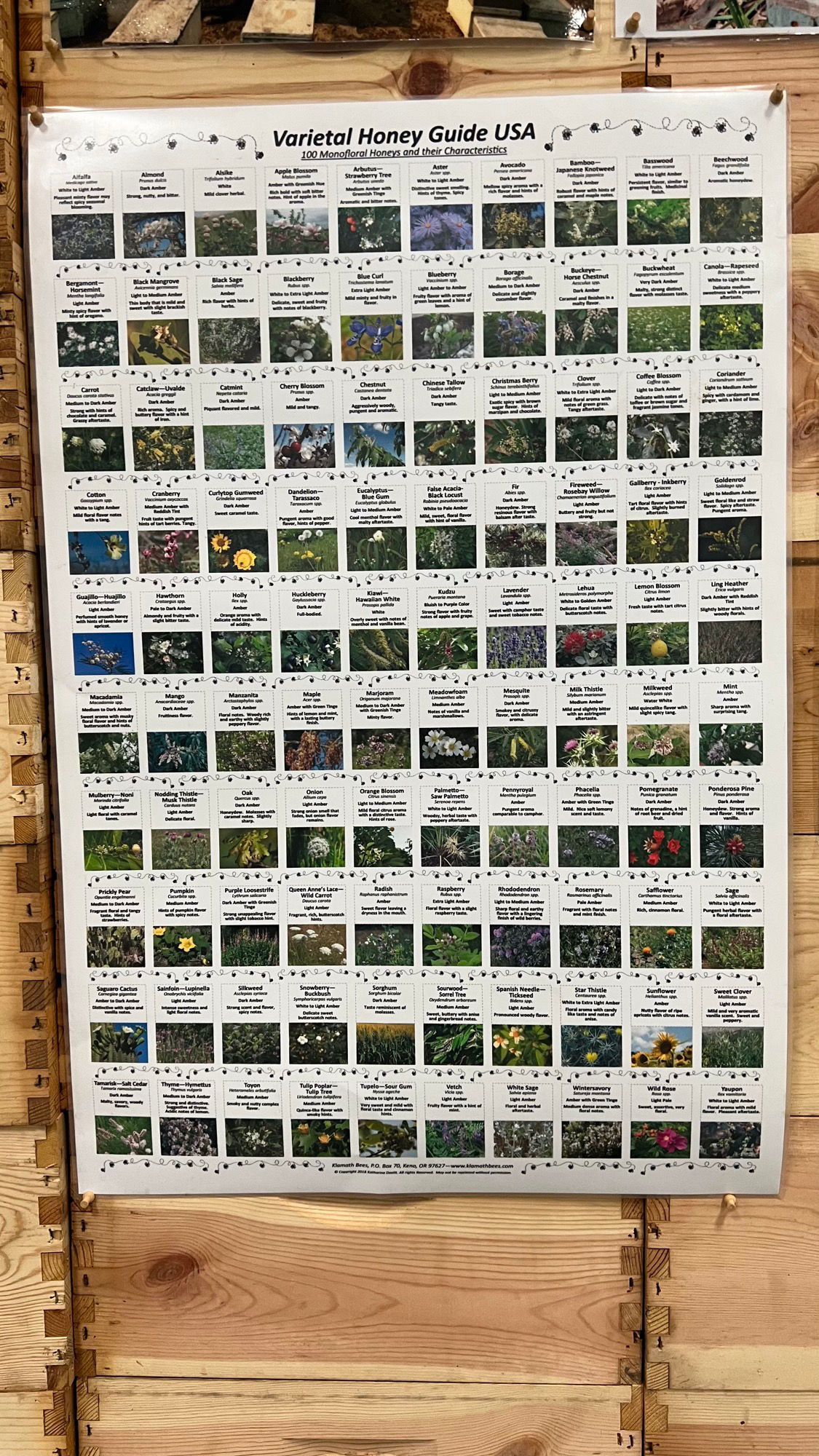 Varietal Honey Guide USA Santa Paula Beekeepers Association Varietal Honey Guide USA