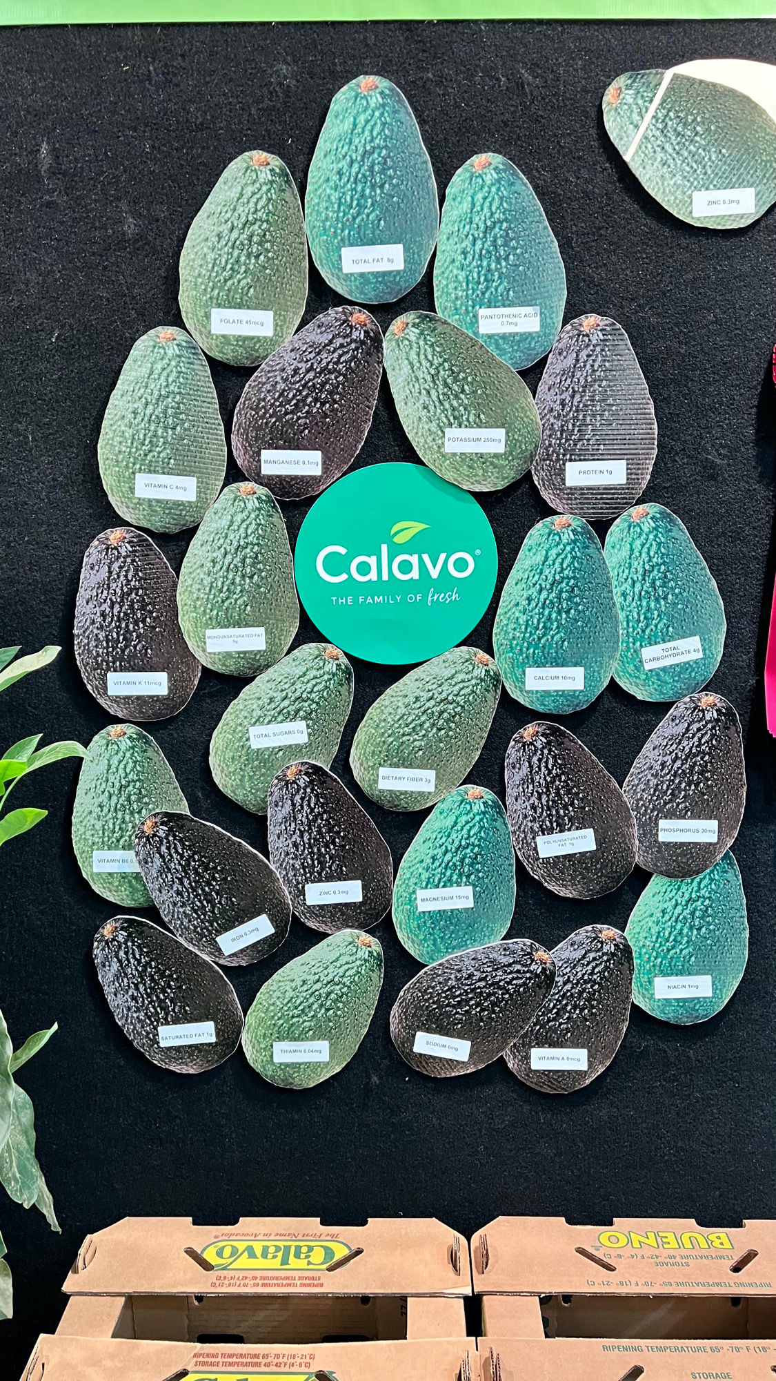 Calavo Avocado Nutrition