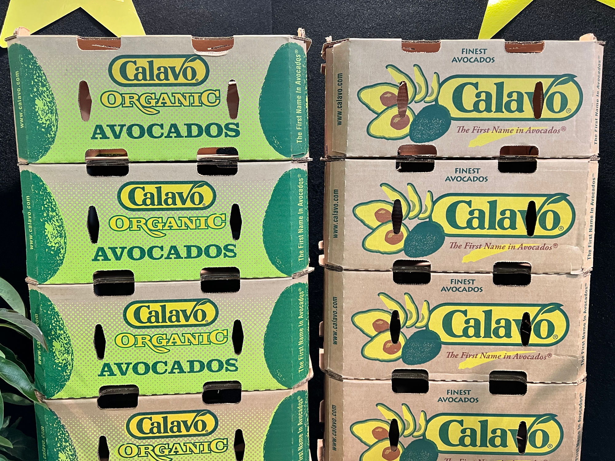 Organic Avocados Calavo Growers Organic Avocados