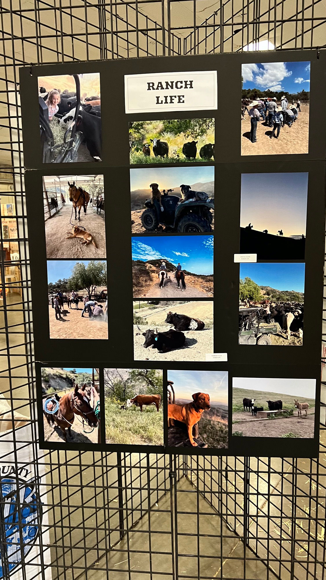 Cattlemen's Association Ranch Life