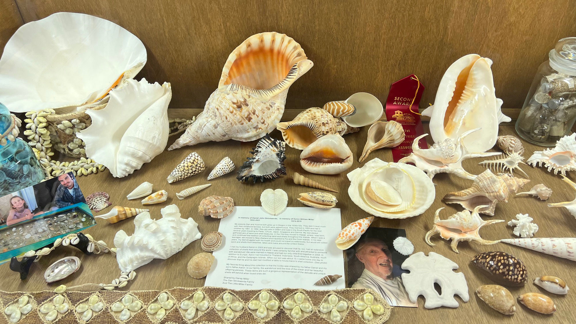 Collection Shells