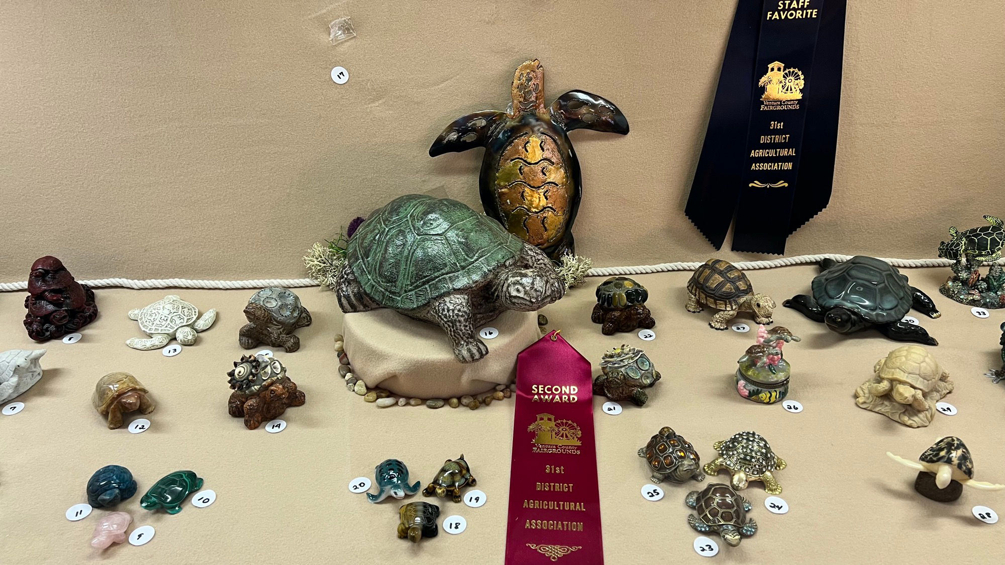 Collection Turtles