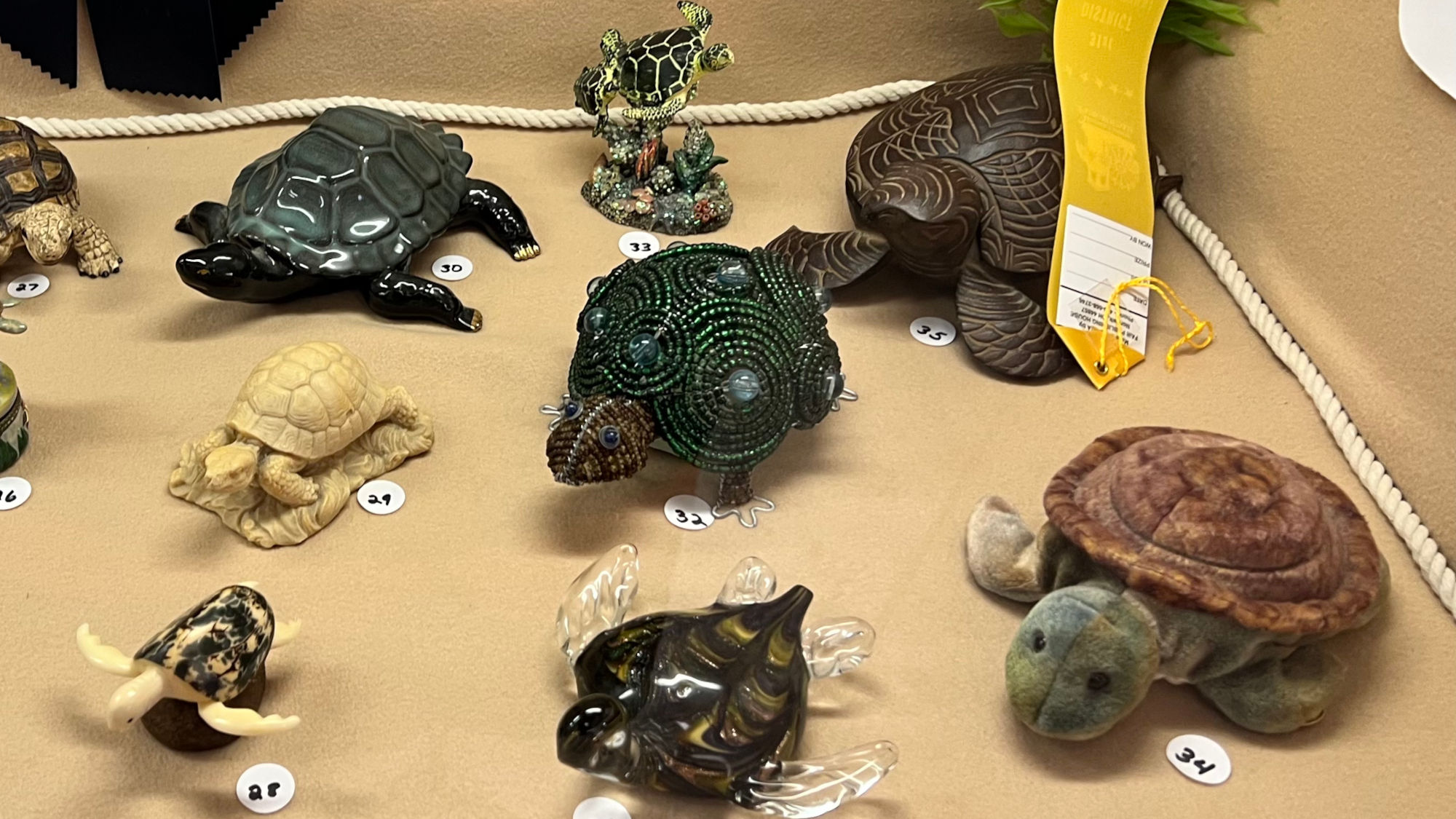 Collection Turtles
