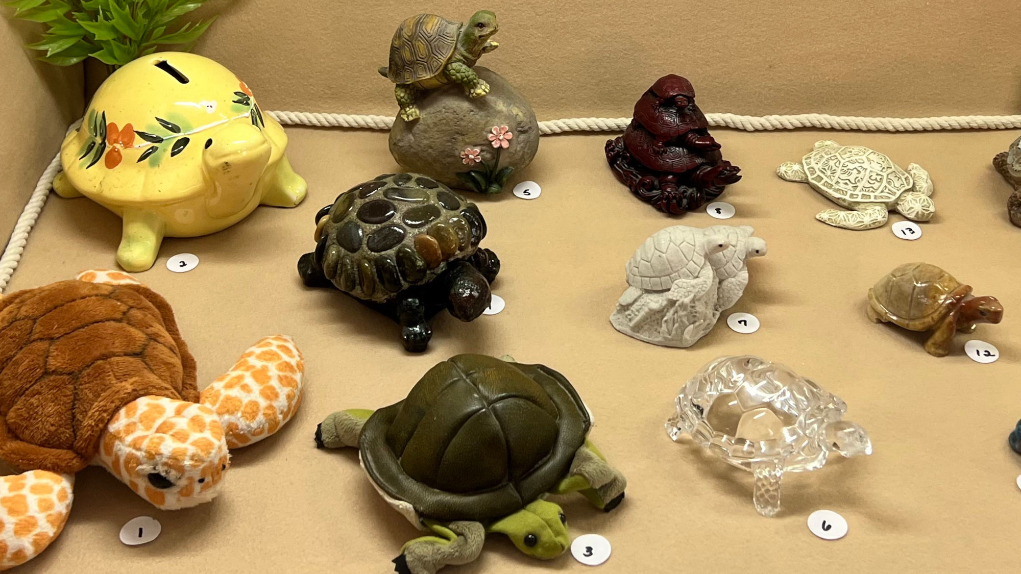 Collection Turtles