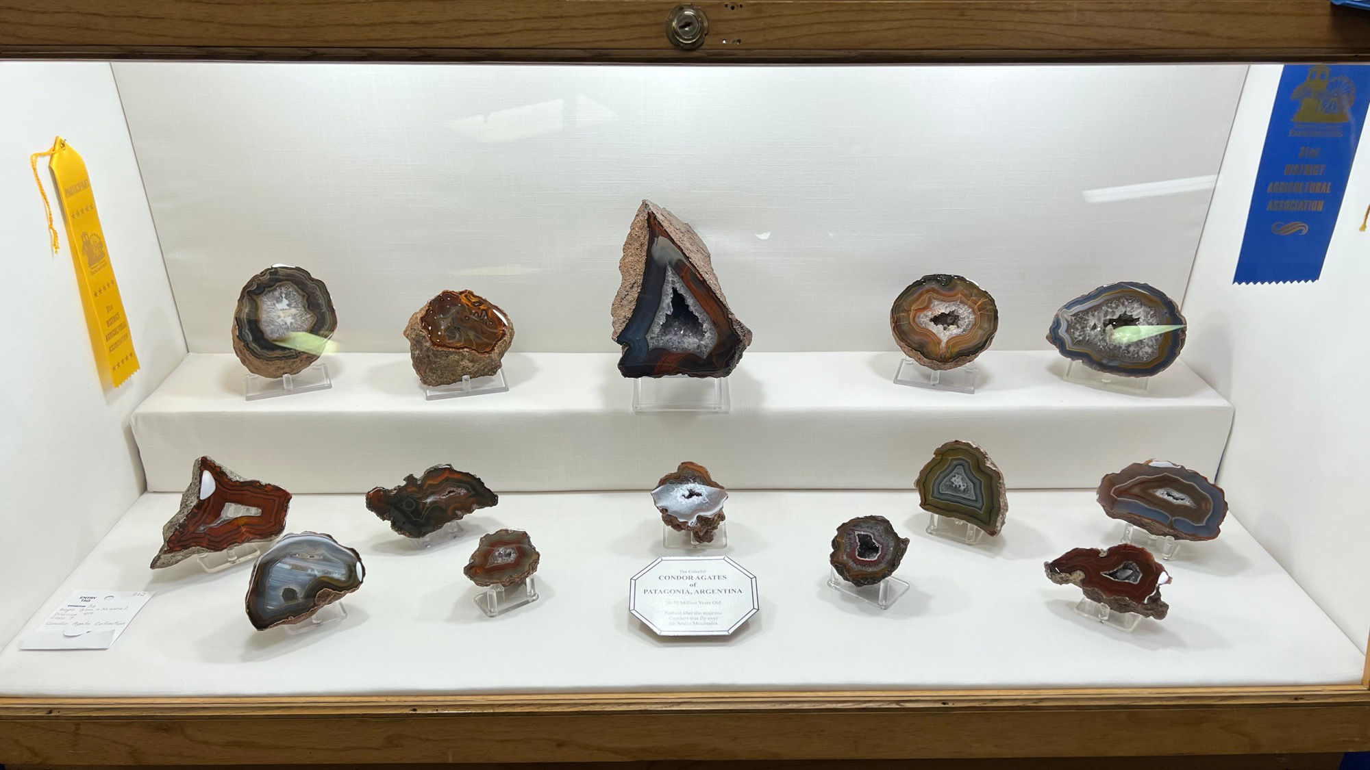 Gems & Minerals Condoragates of Patagonia