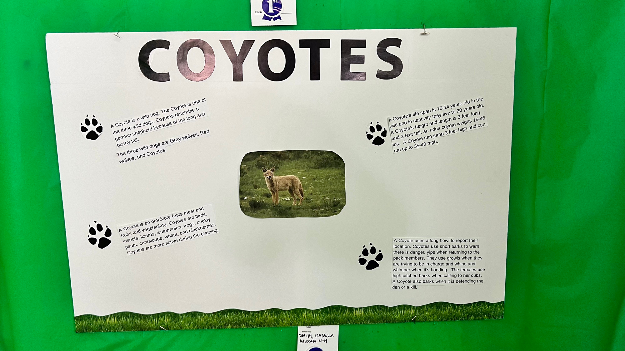 Youth Expo Coyotes