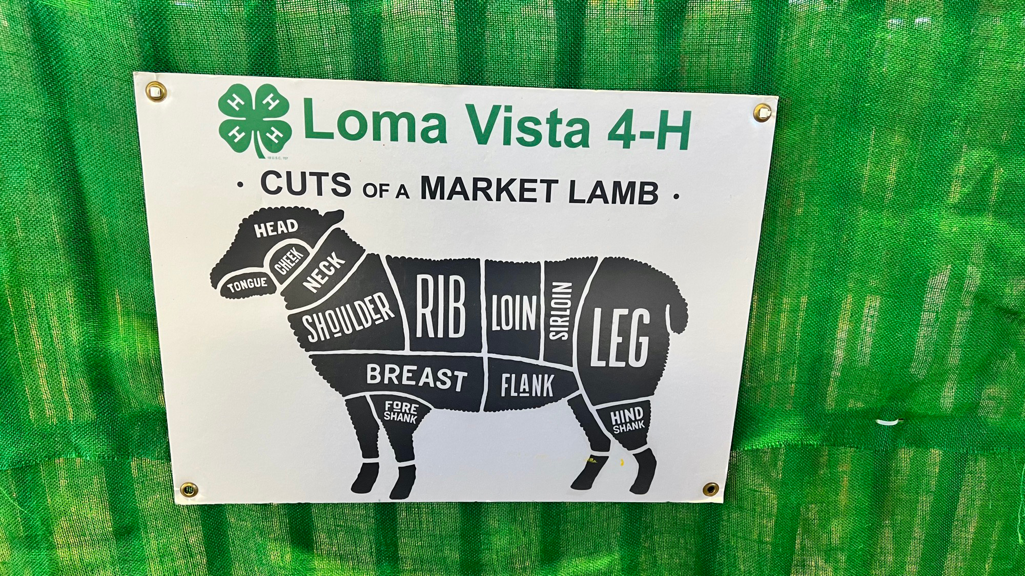 Cuts of a Market Lamb