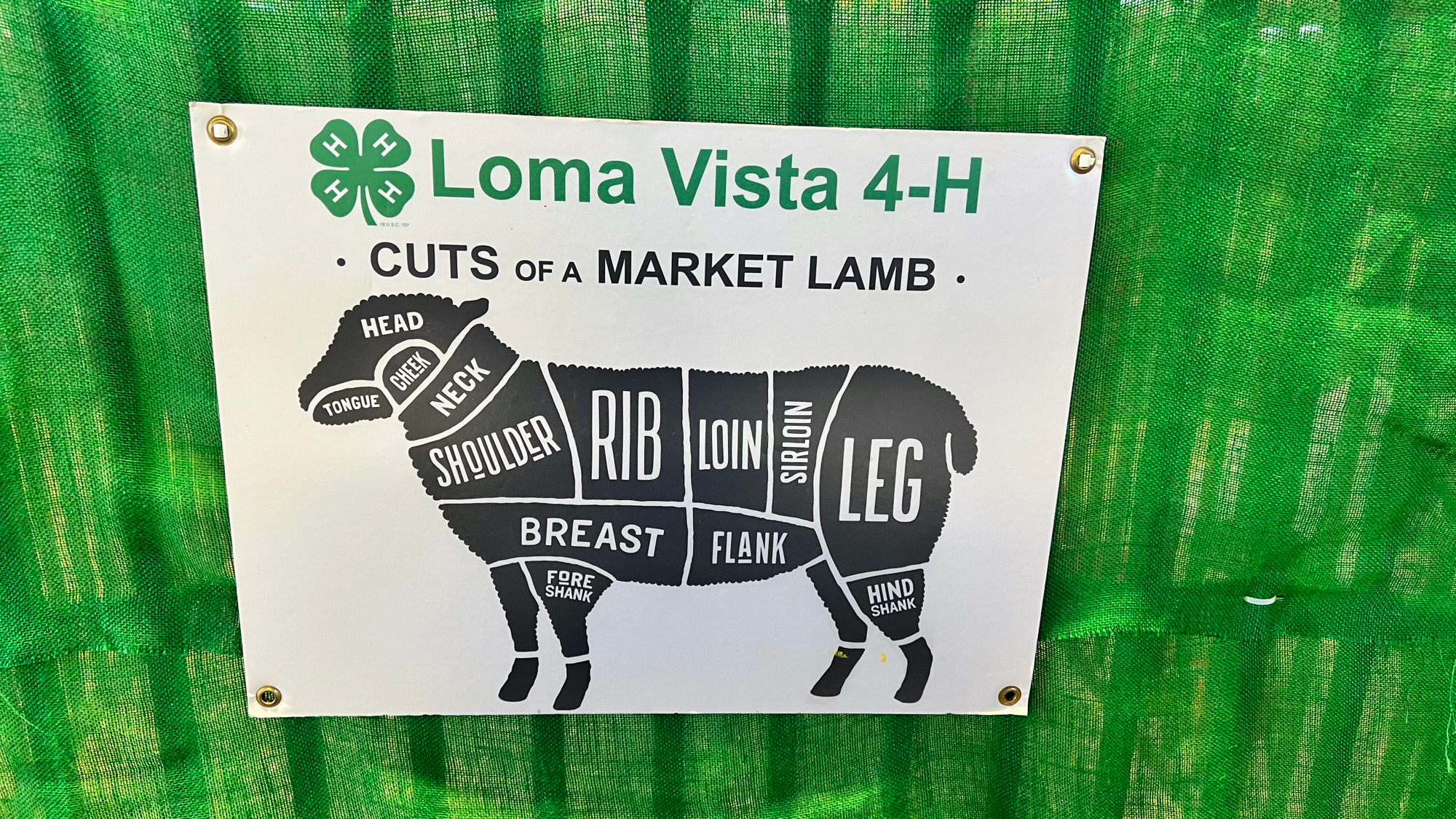 Cuts of a Market Lamb Cuts of a Market Lamb