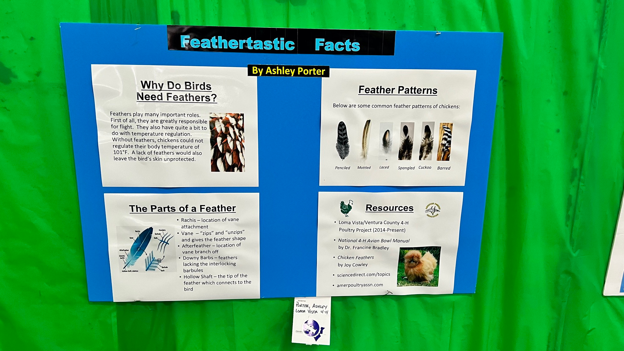 Youth Expo Feathertastic Facts